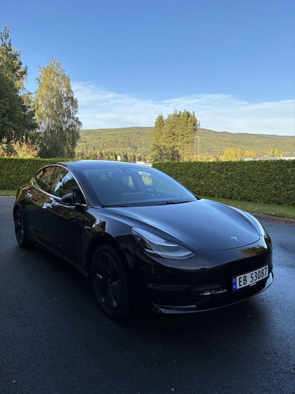 Tesla Model 3 Long Range, 2020, Elektrisk, automatisk