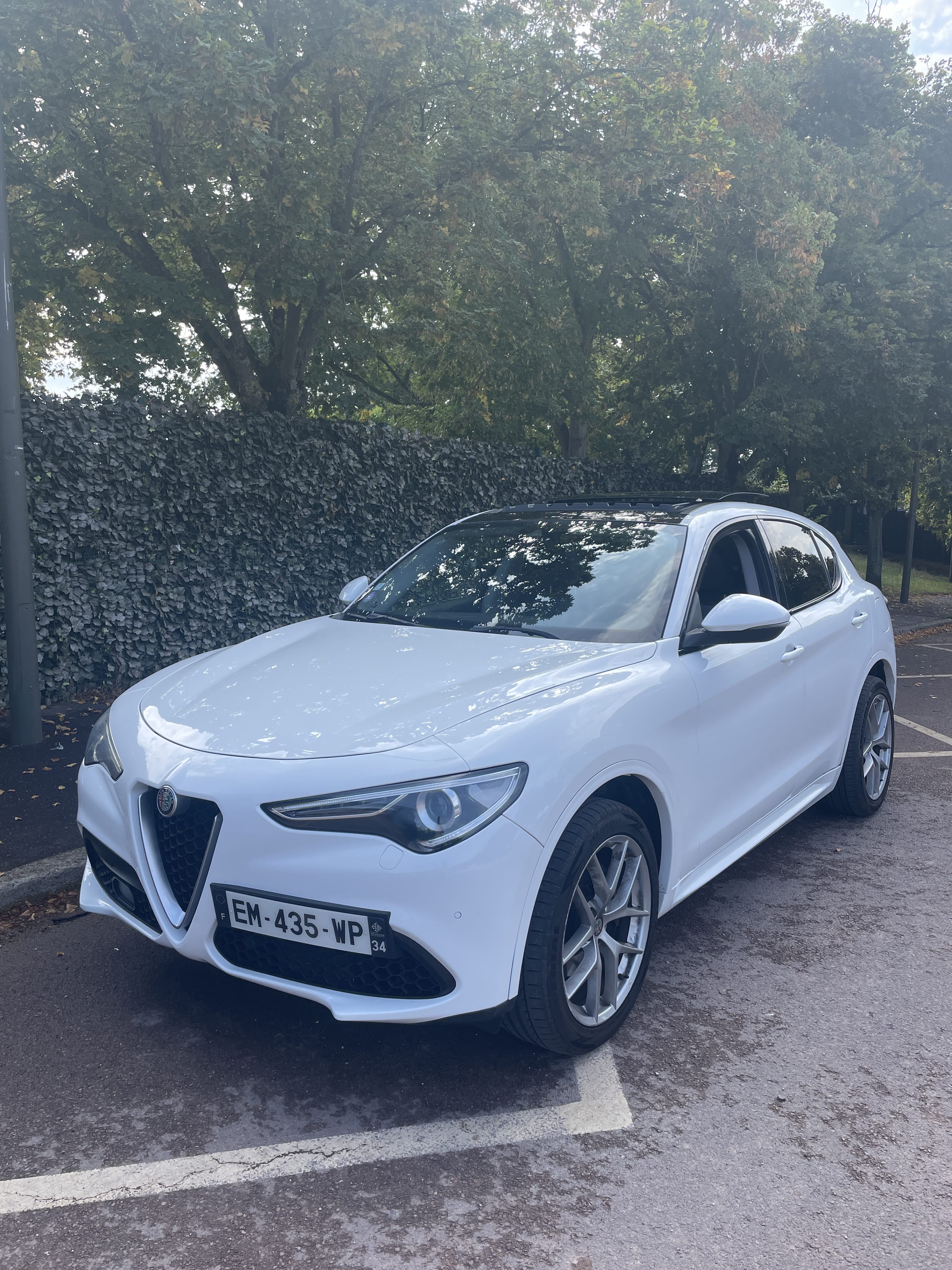Alfa-Romeo Stelvio, 2017, Essence 98, automatique