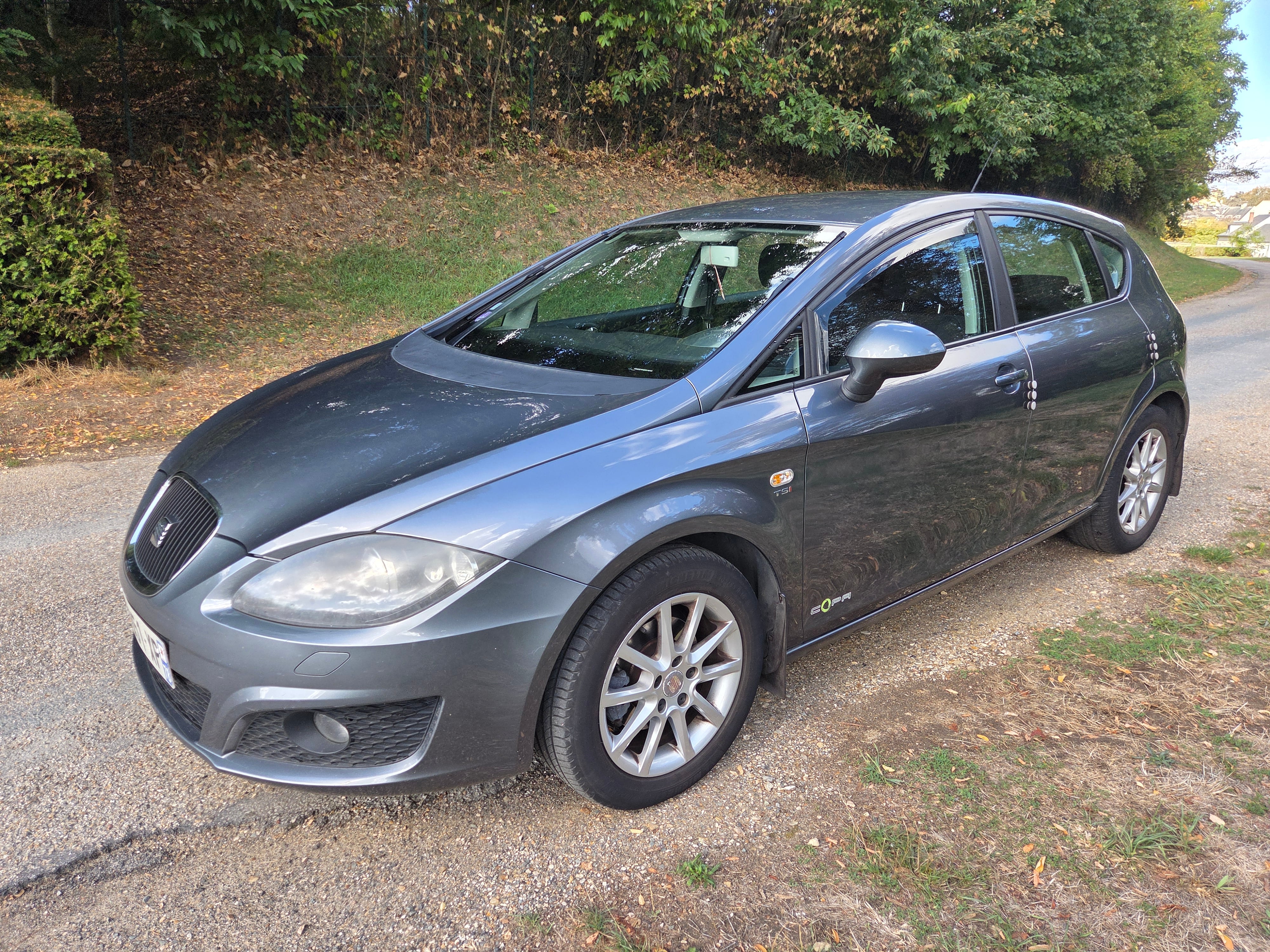 Seat Leon, 2012, Essence 95