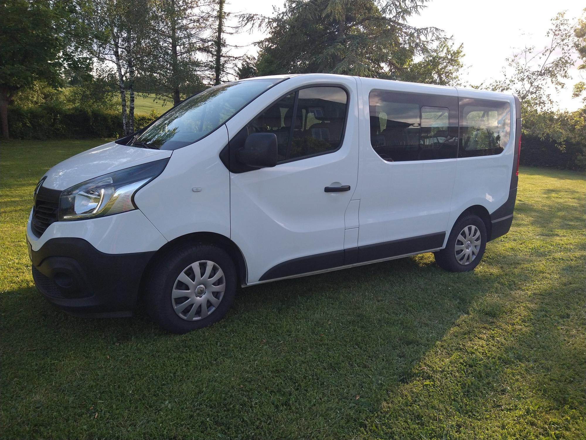 Renault Trafic Passenger, 2017, Diesel, 9 places et plus
