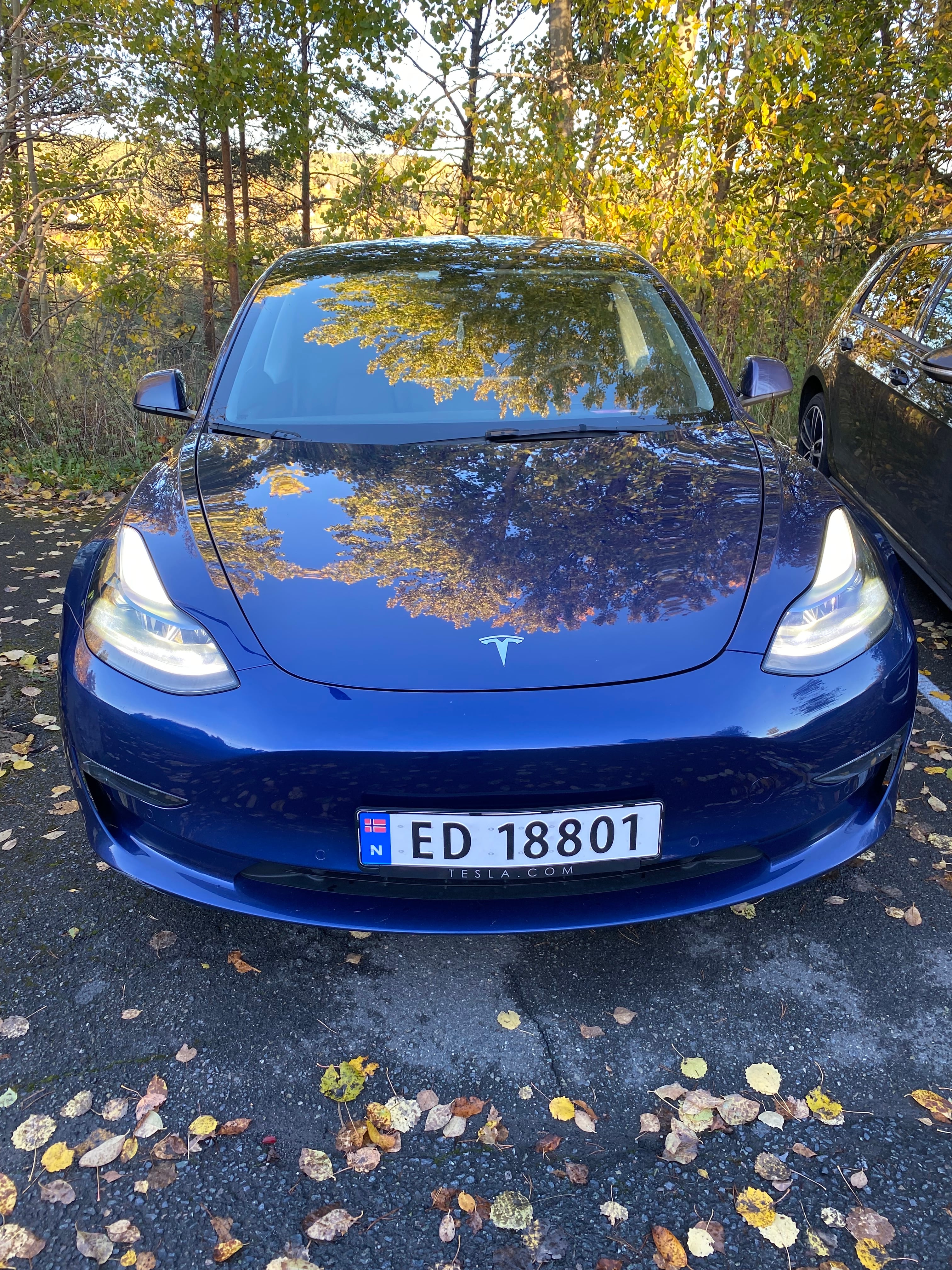 Tesla Model 3 Performance med Ryggekamera