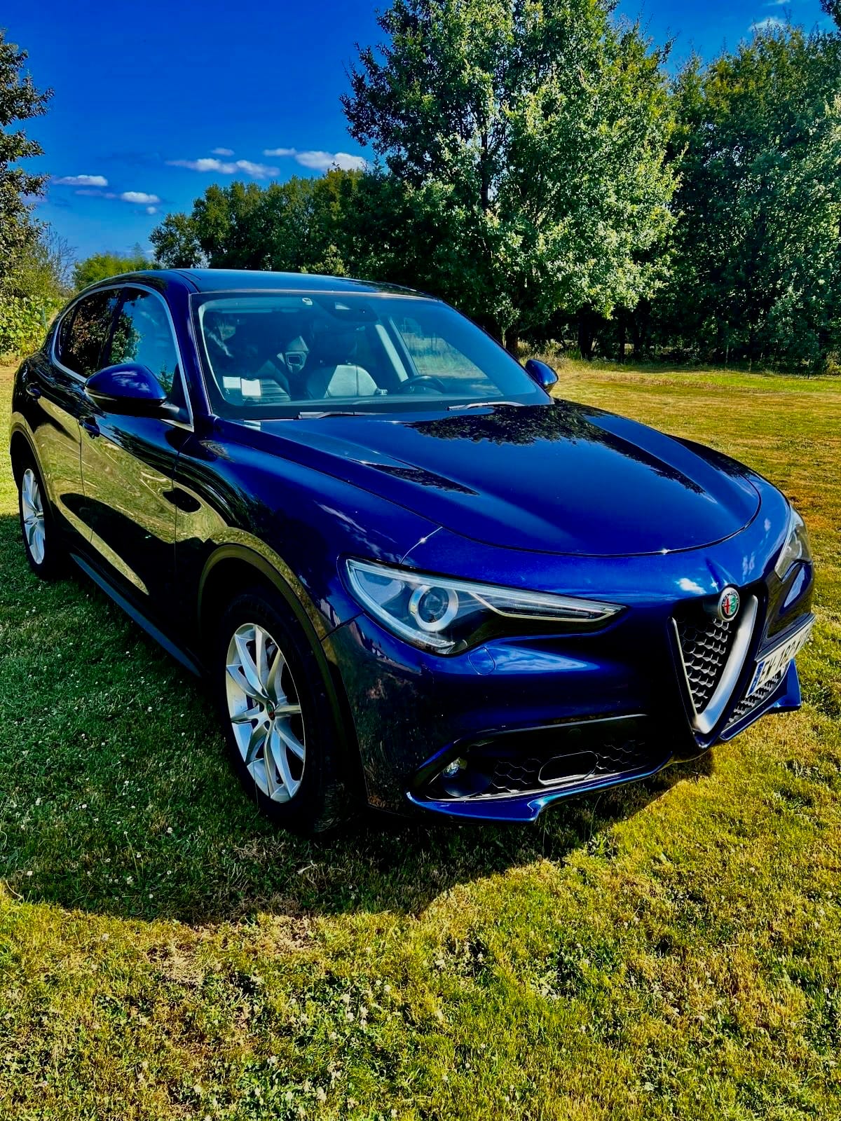 Alfa-Romeo Stelvio 2,2l 180cv, 2018, Diesel, automatique