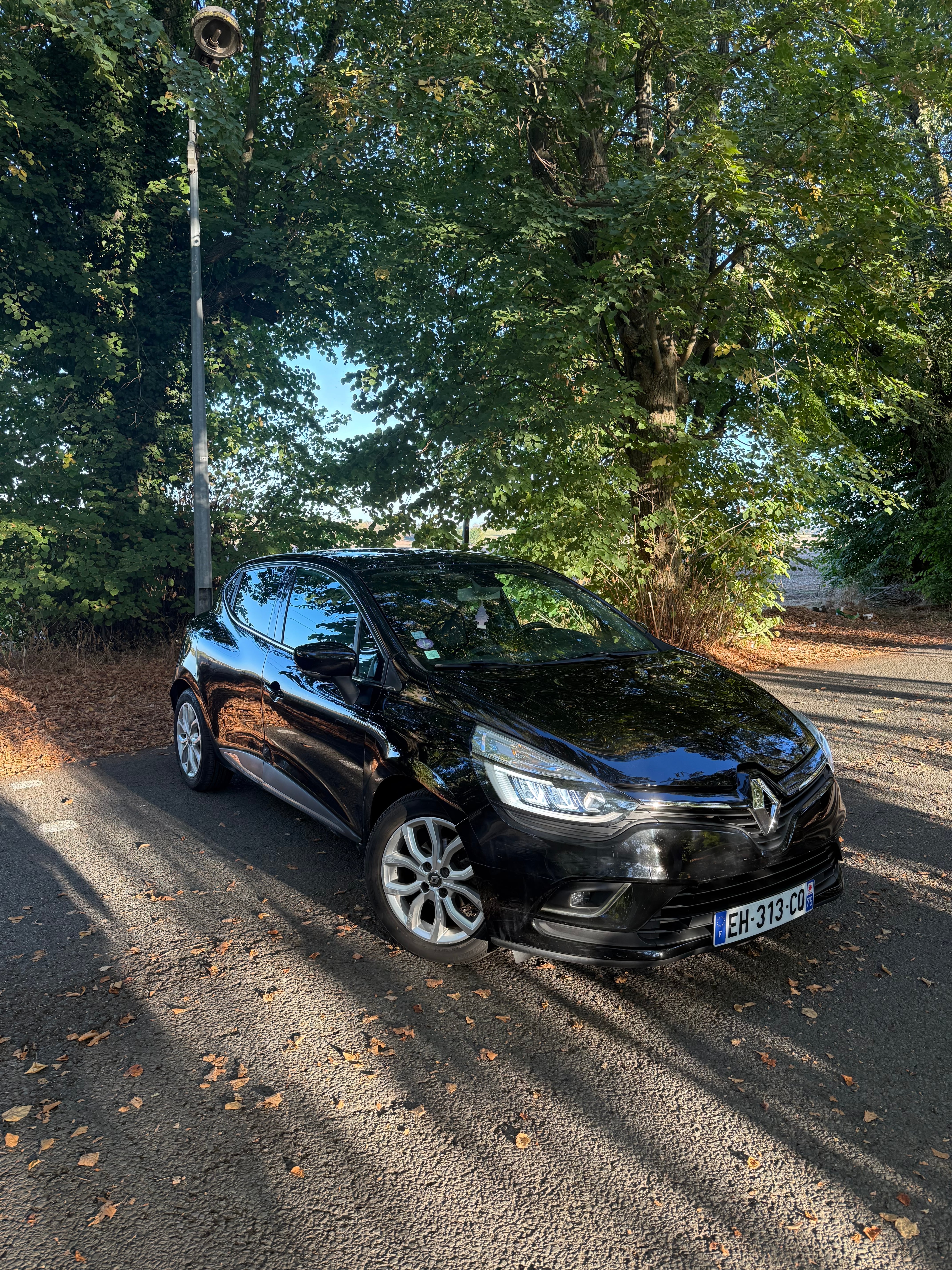 Renault Clio avec Régulateur de vitesse