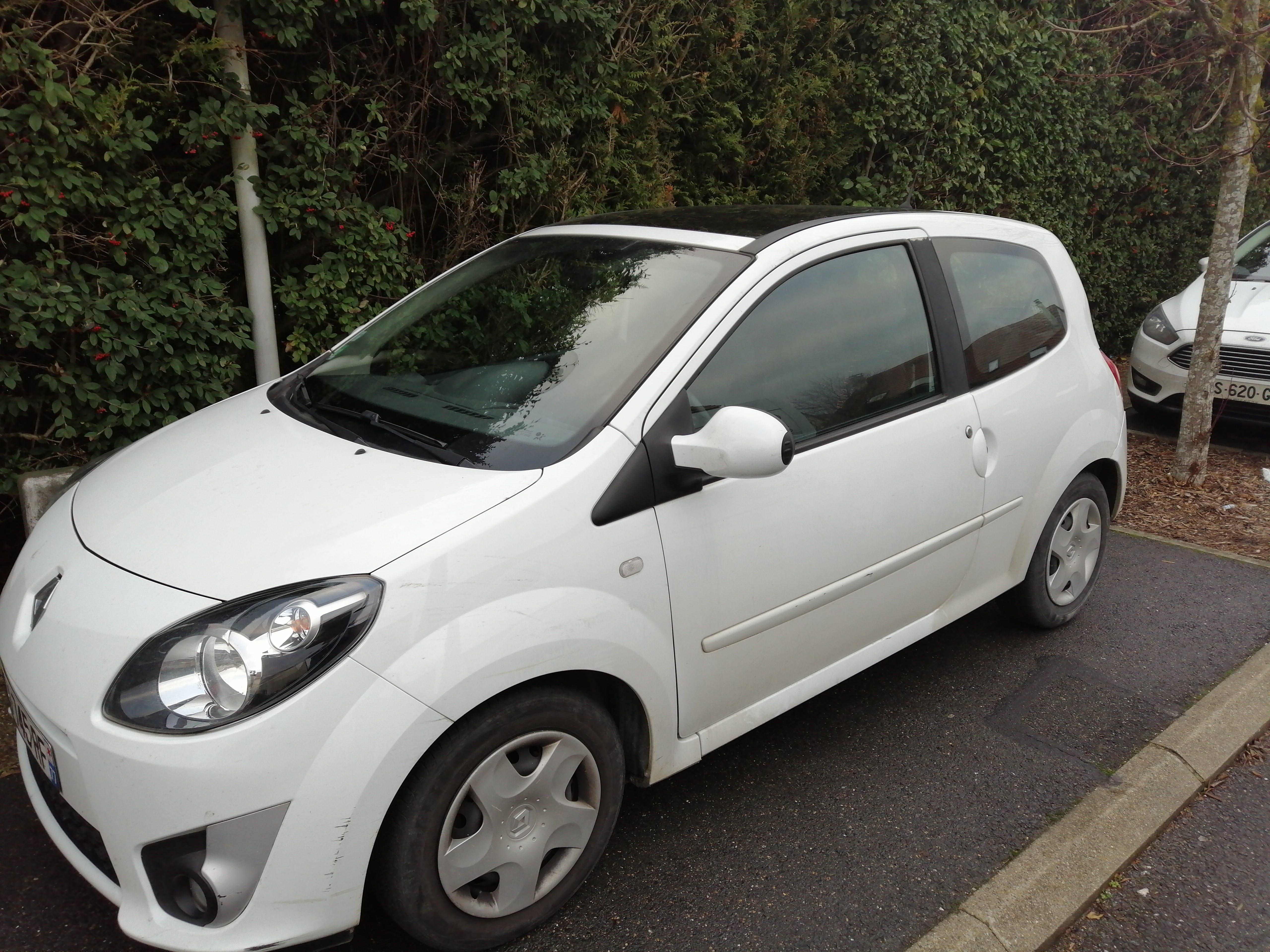 Renault Twingo ETHANOL, 2010, Essence 95