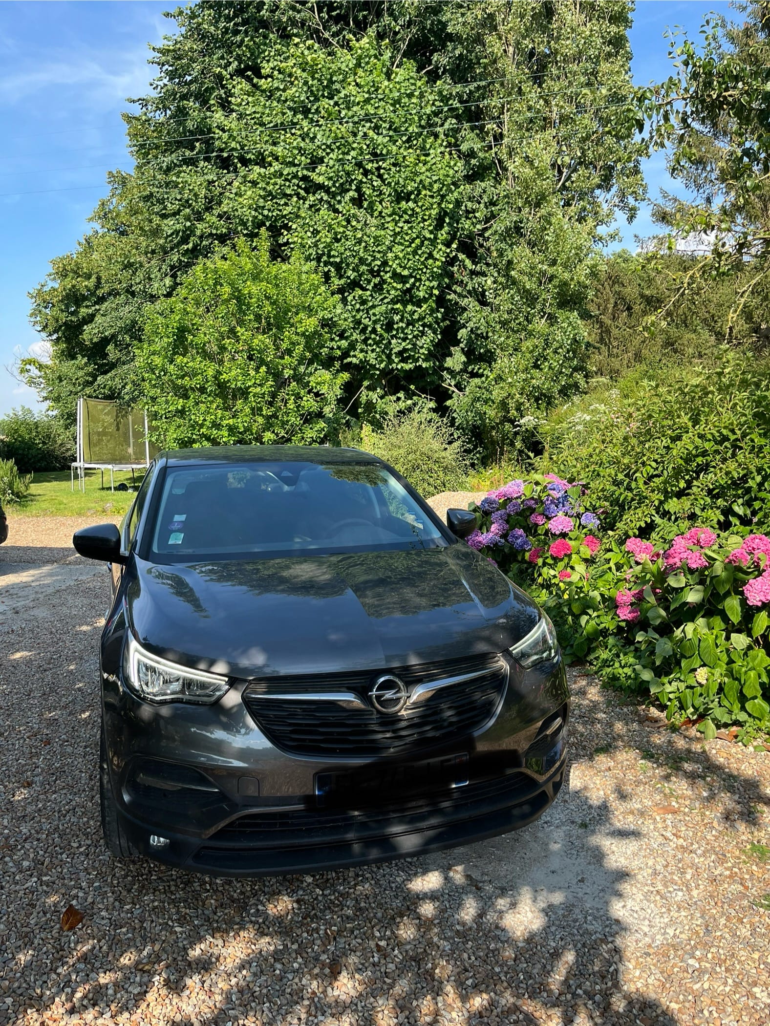 Opel Grandland X, 2019, Essence 98, automatique