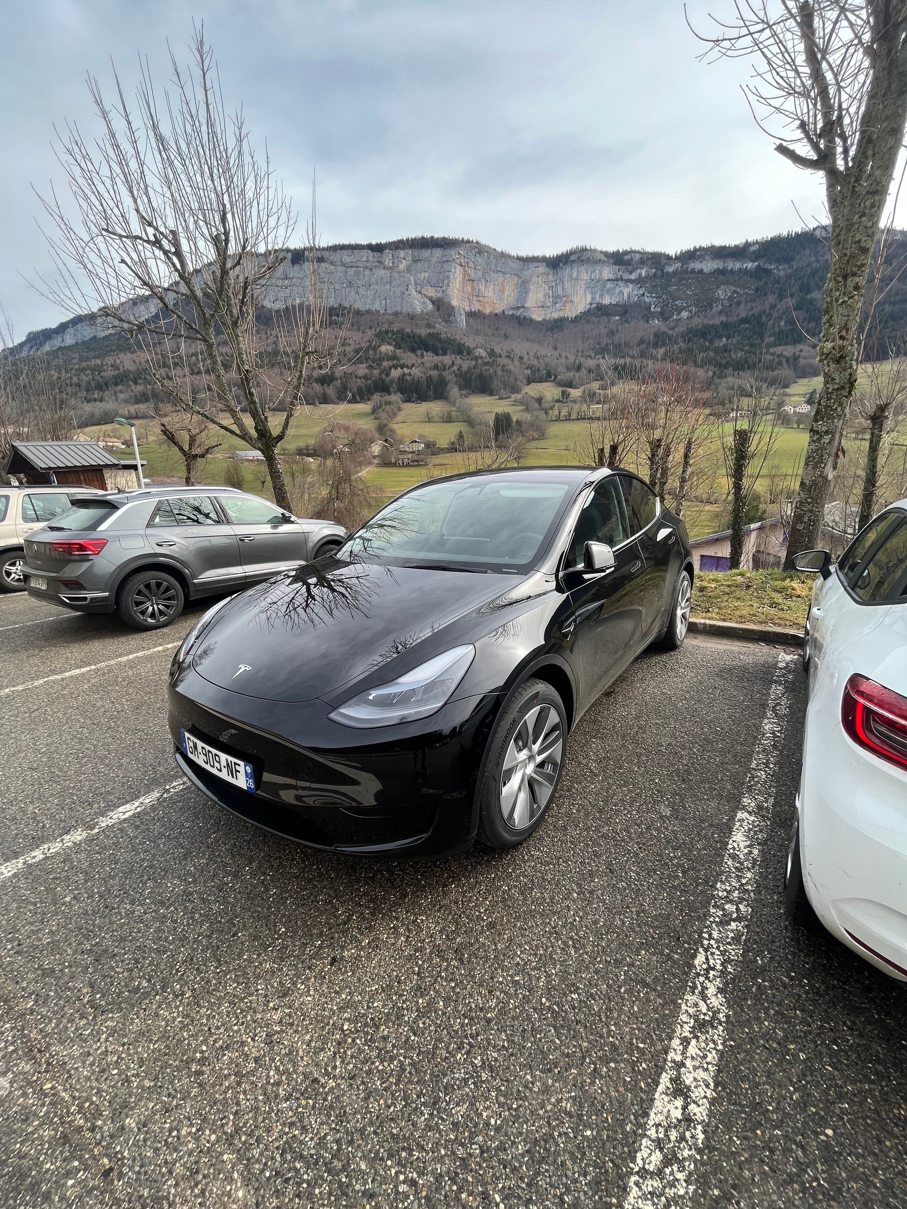 Tesla Model Y, 2023, Électrique, automatique