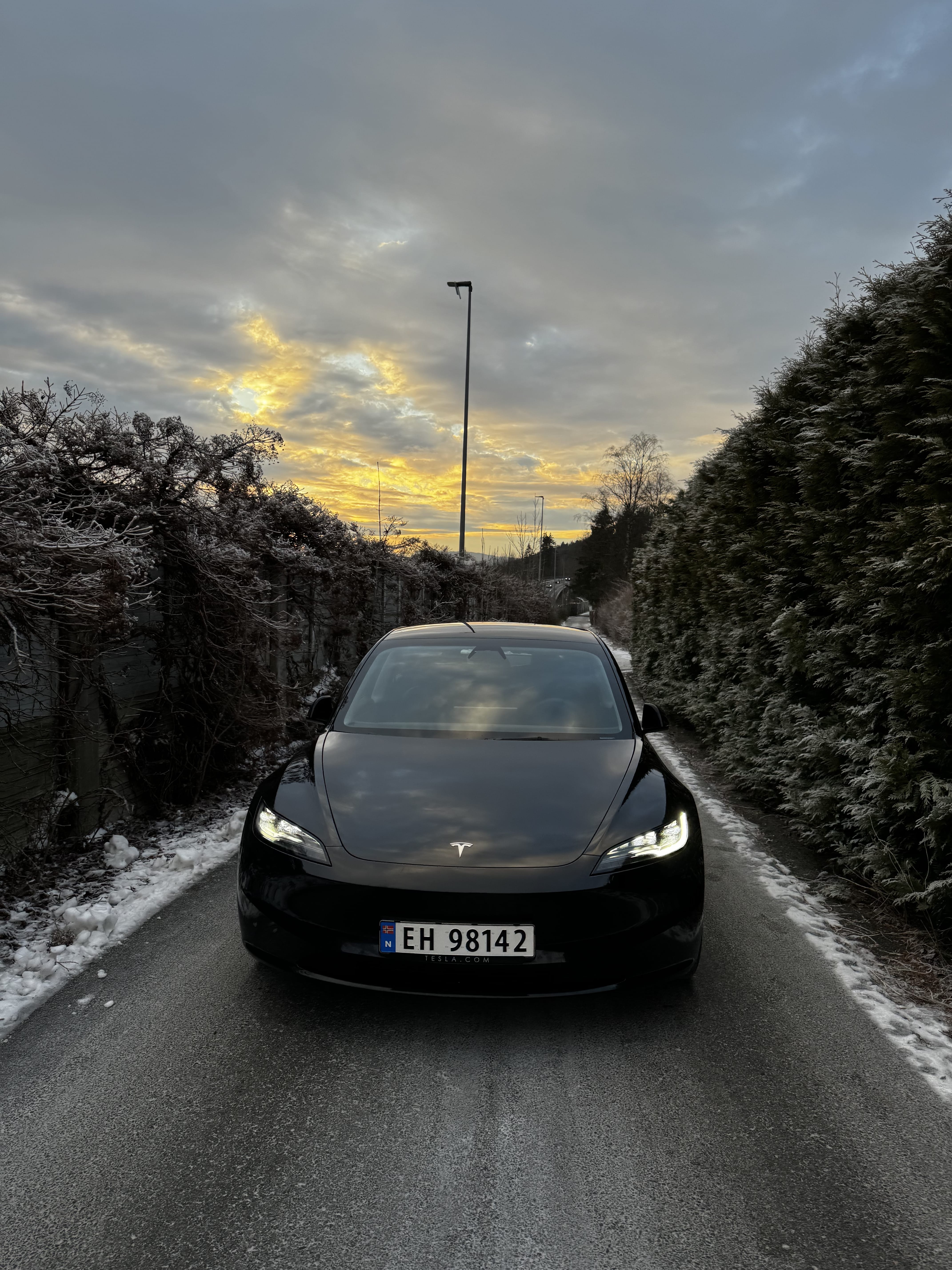 Tesla Model 3 Long Range med Vinterdekk