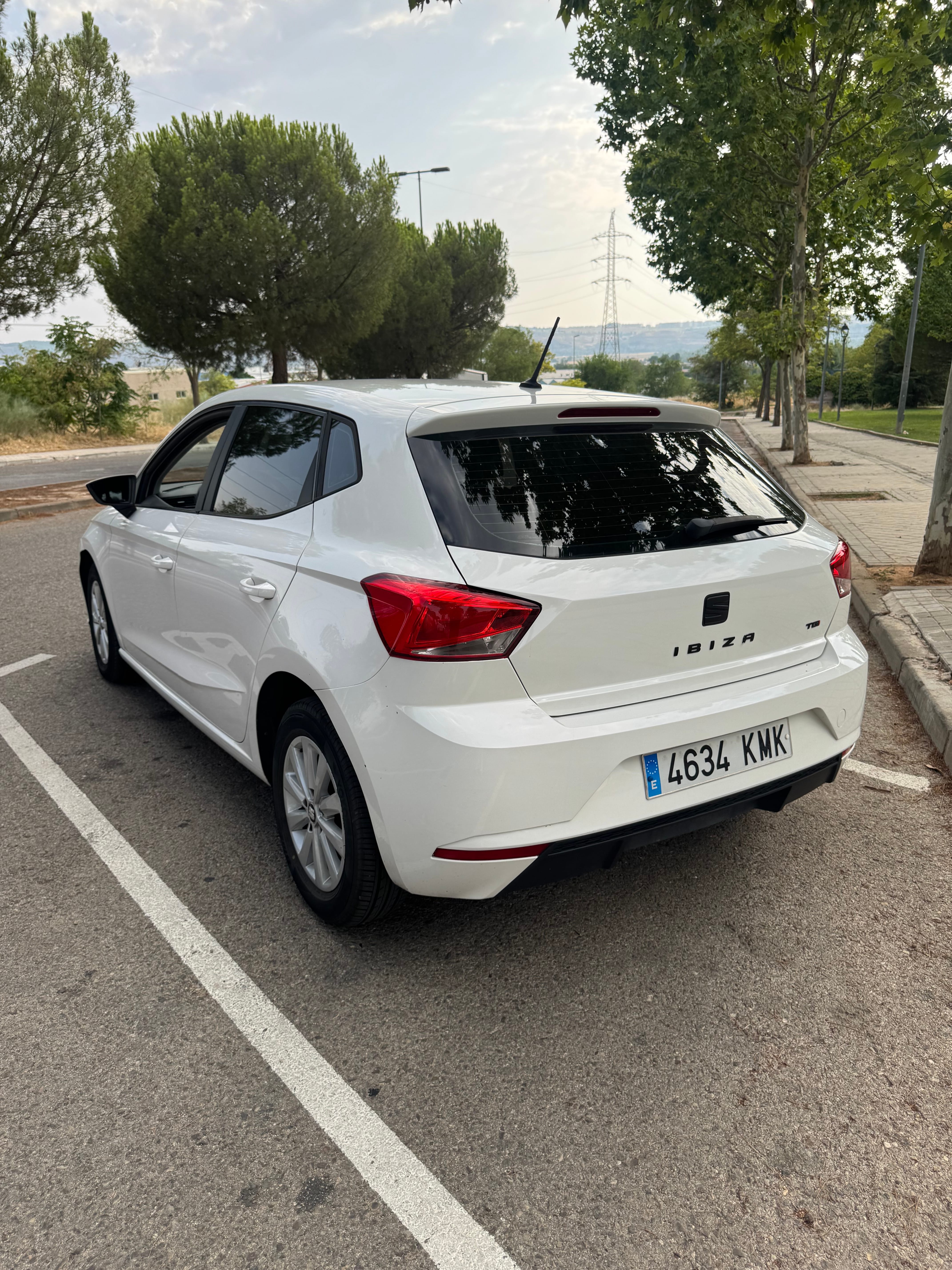 Seat Ibiza mit Navigationsgerät
