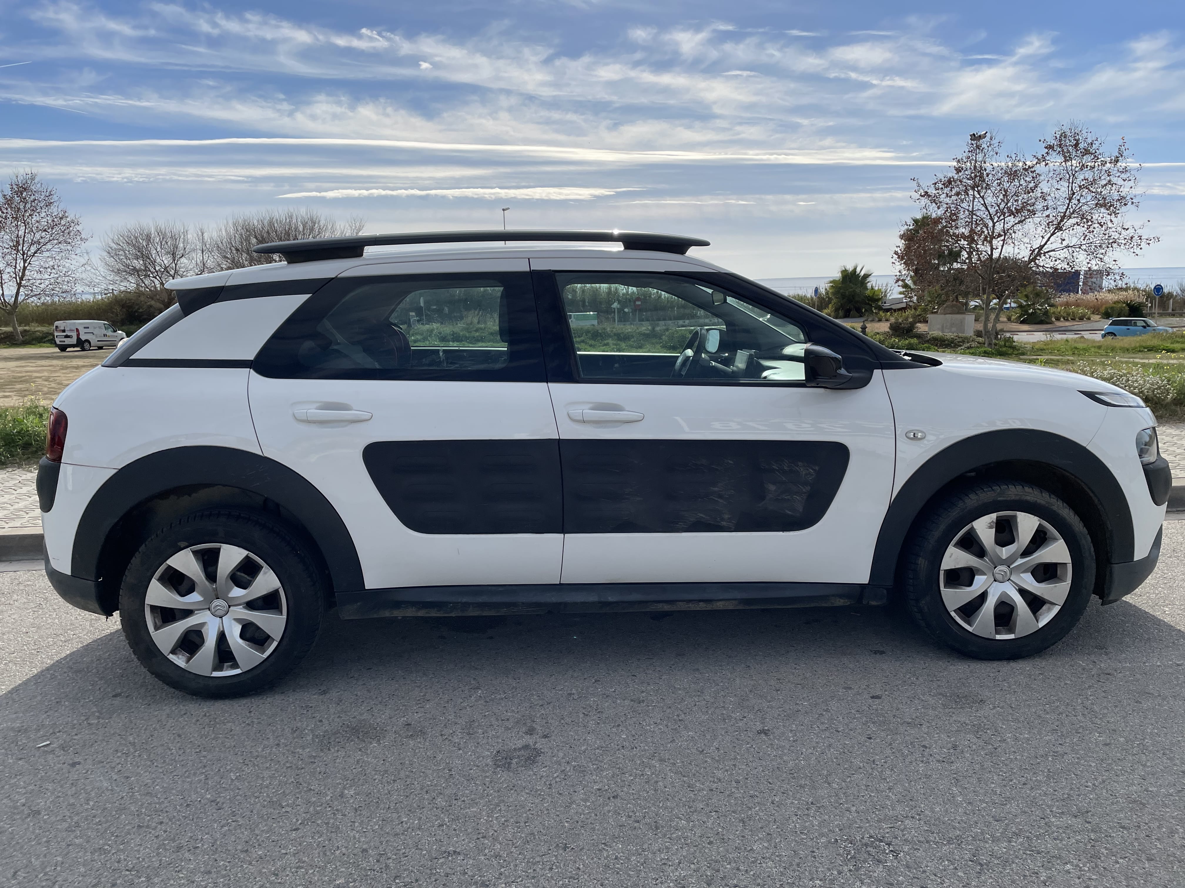 Citroen C4 Cactus con Aire acondicionado