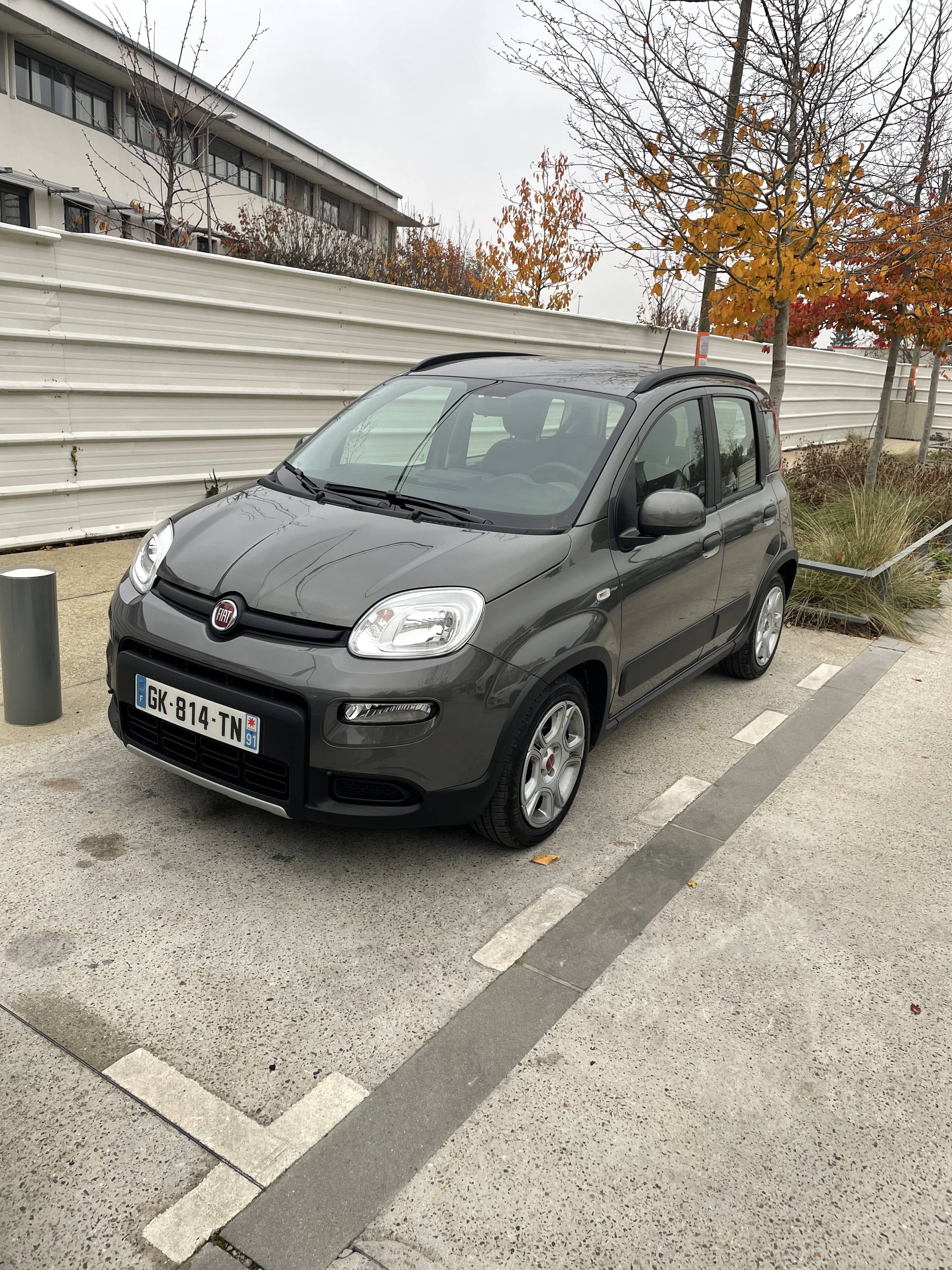 Fiat Panda, 2022, Essence 95 / Électrique (hybride)