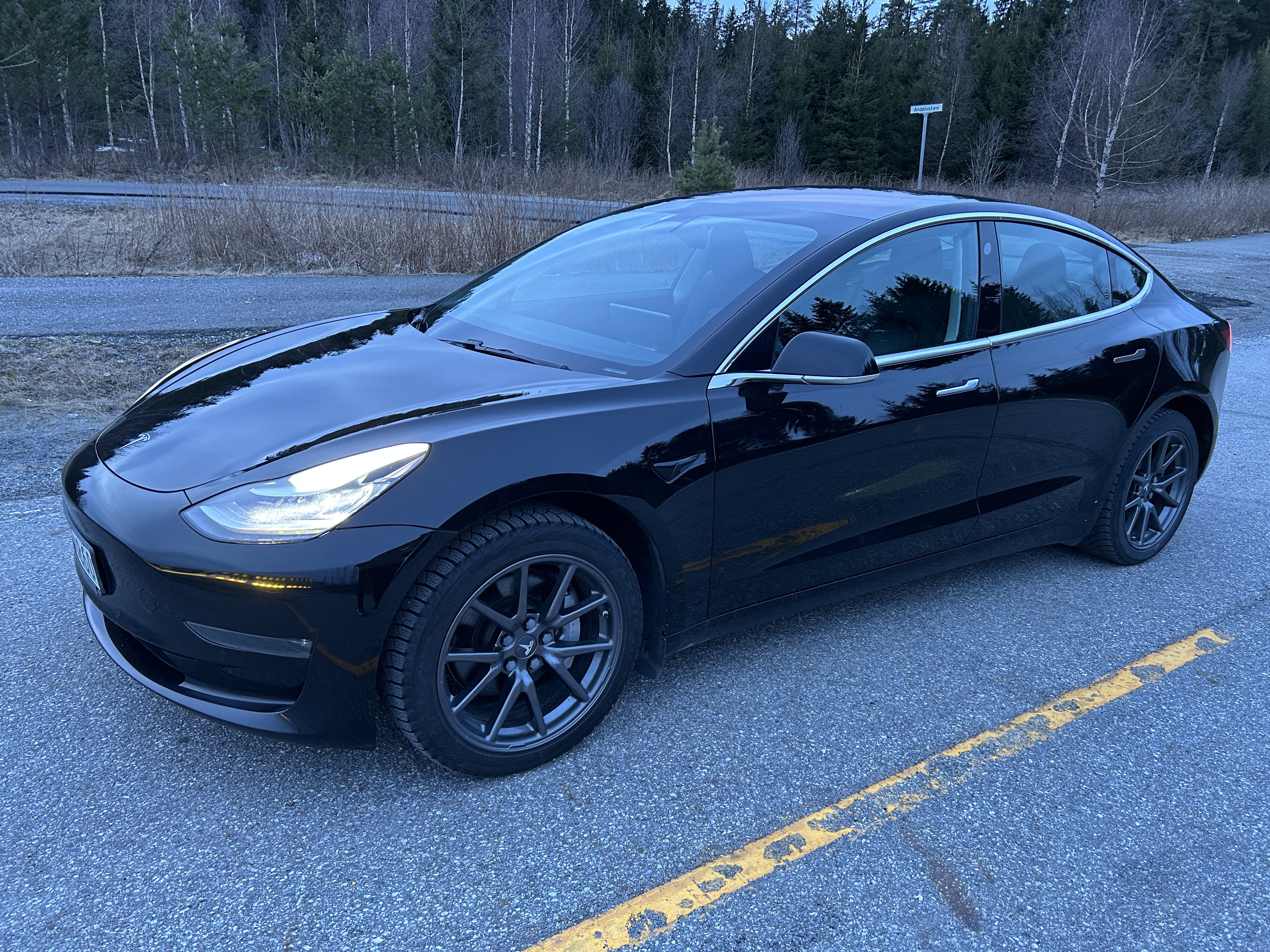 Tesla Model 3 Long Range med Aircondition