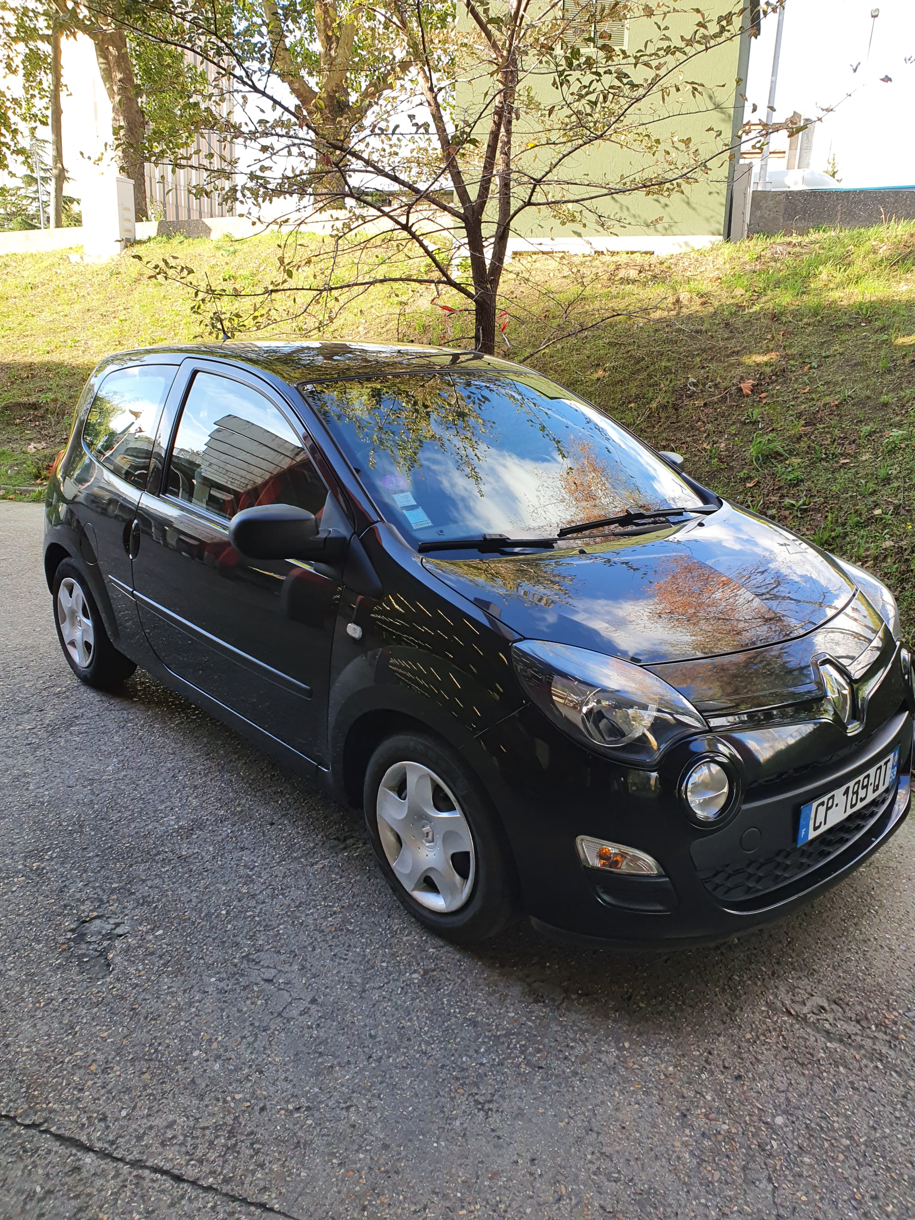 Renault Twingo, 2013, Essence 95