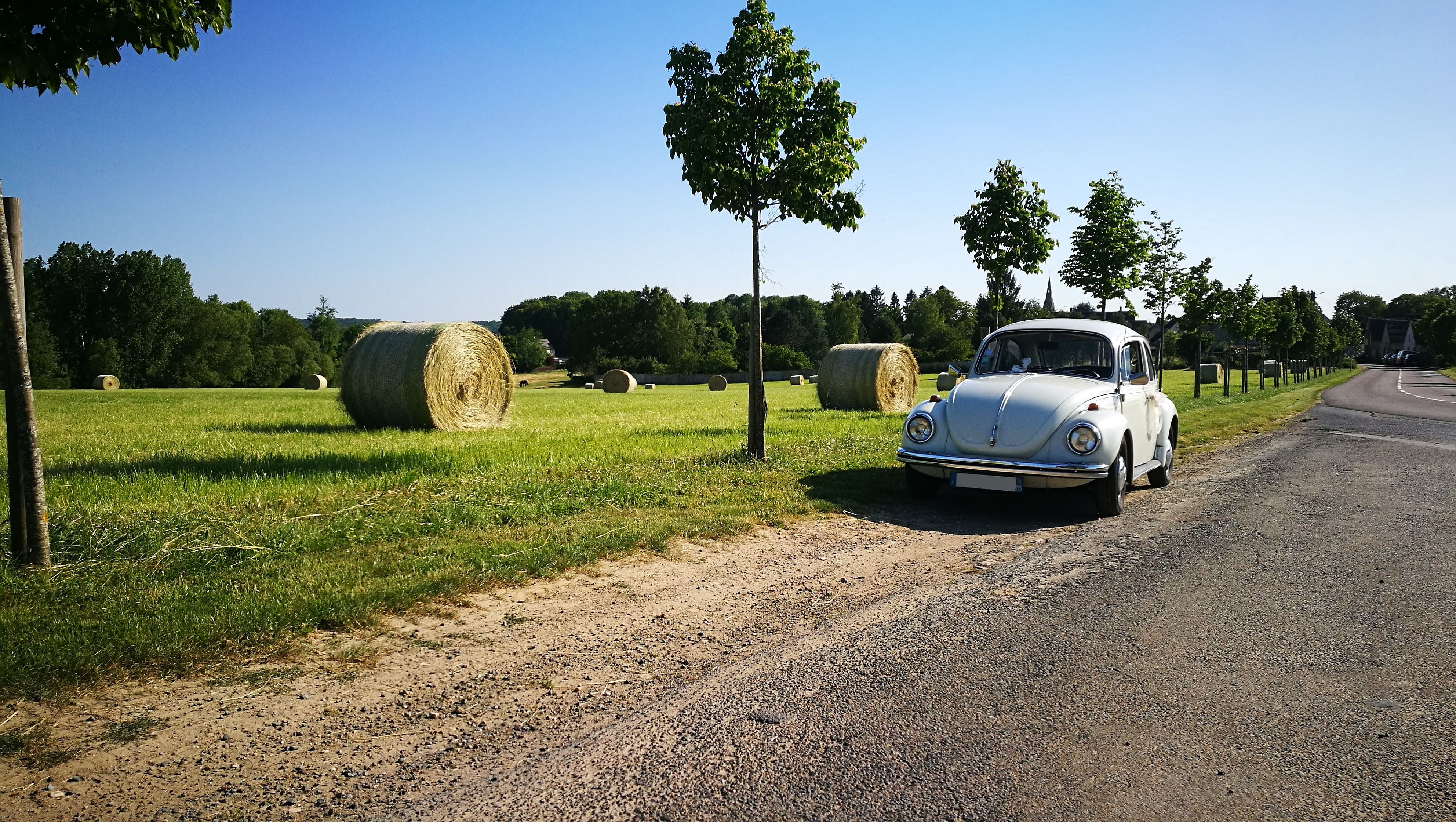 Location Volkswagen Coccinelle 1971 Paris 1 Rue Vavin Getaround