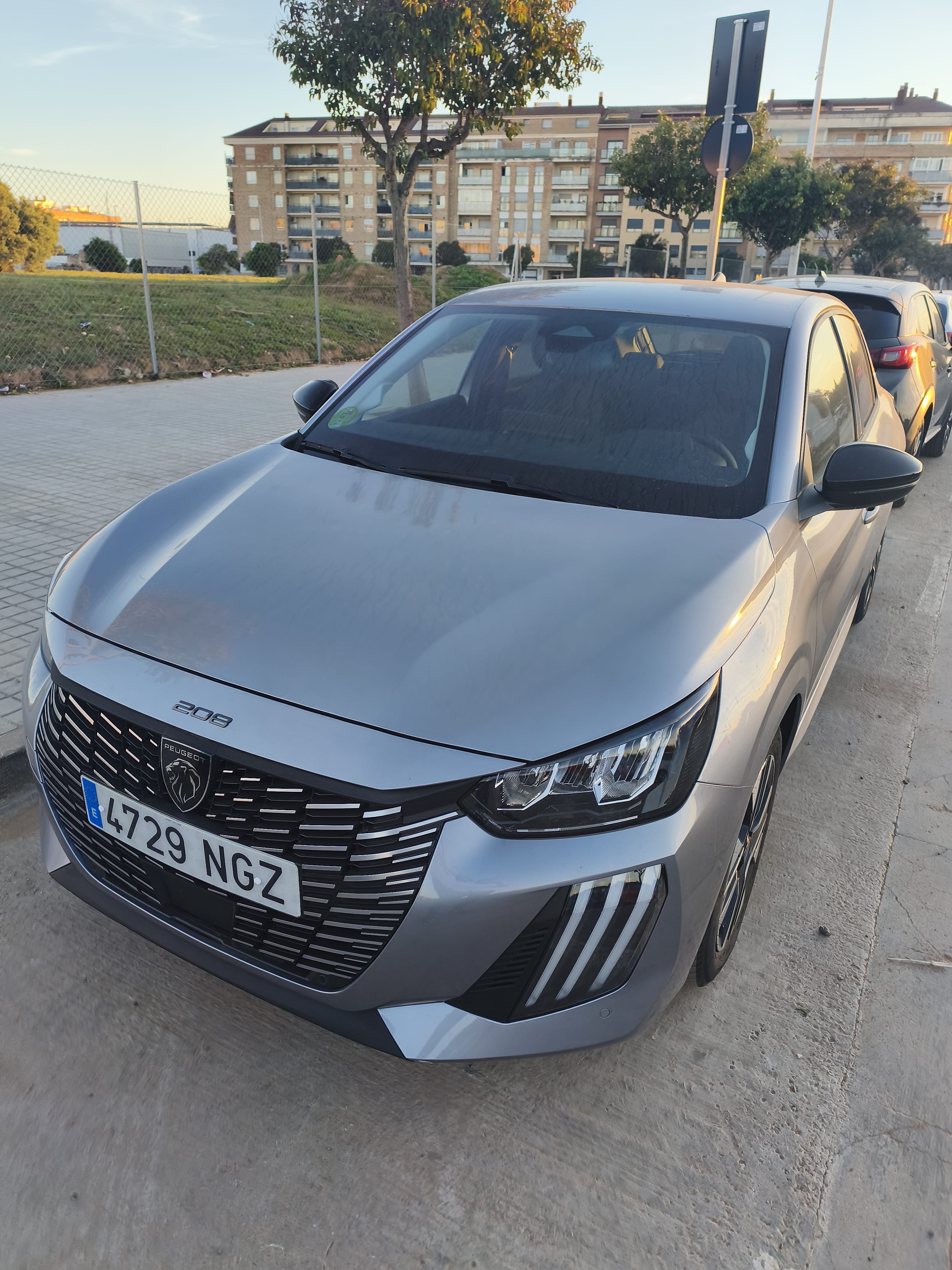 Peugeot 208, 2025, Gasolina 95