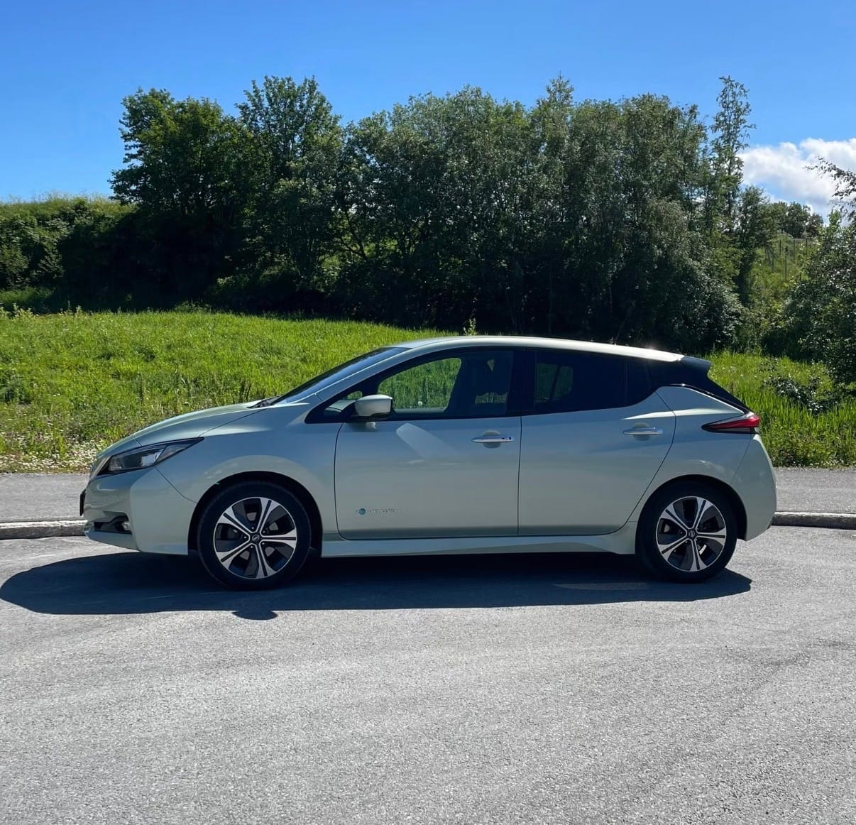 Nissan Leaf mit Rückfahrkamera