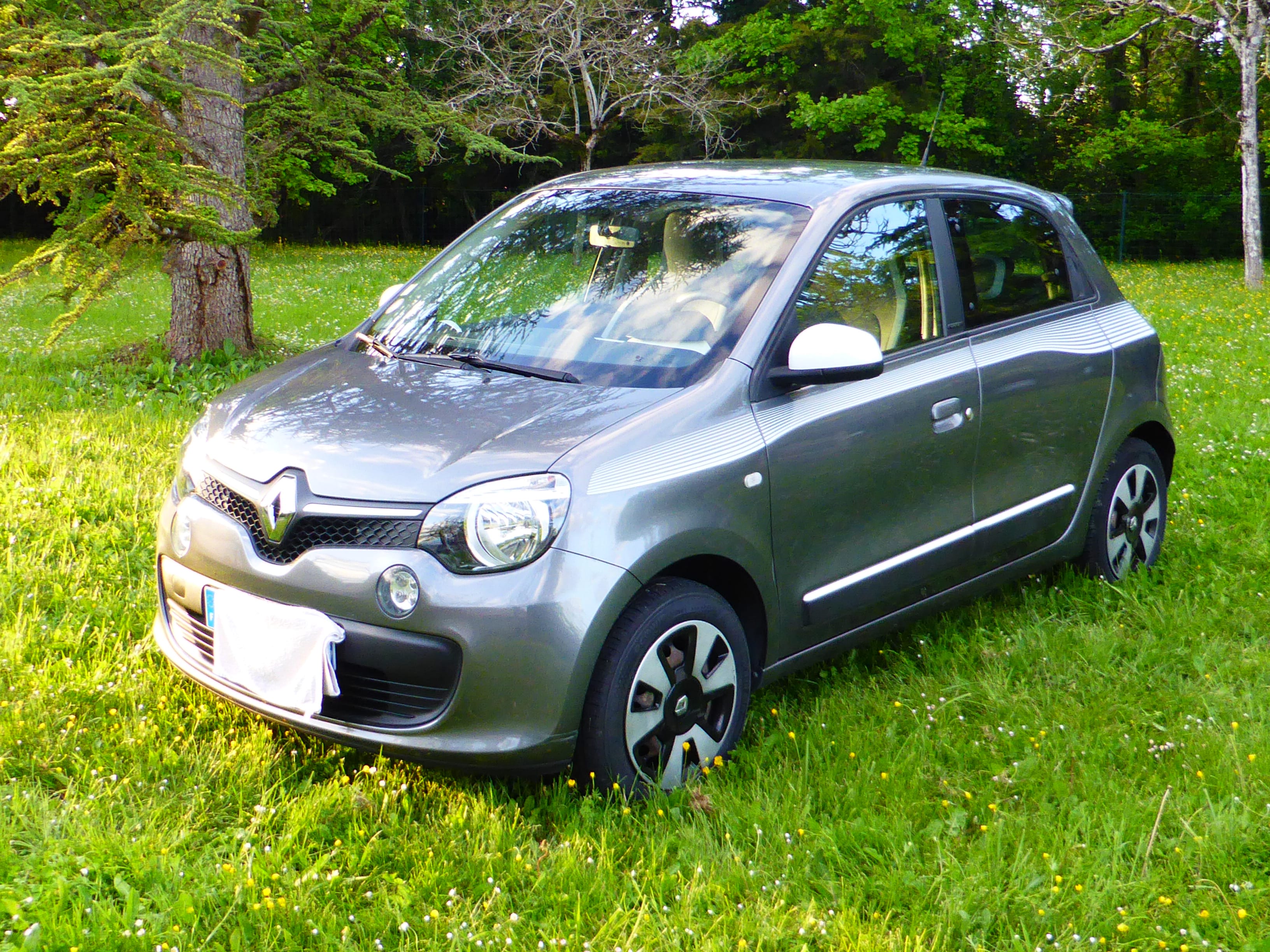 Renault Twingo III E85 GRISE Limited Energy TCe 90ch, 2018, Essence 98