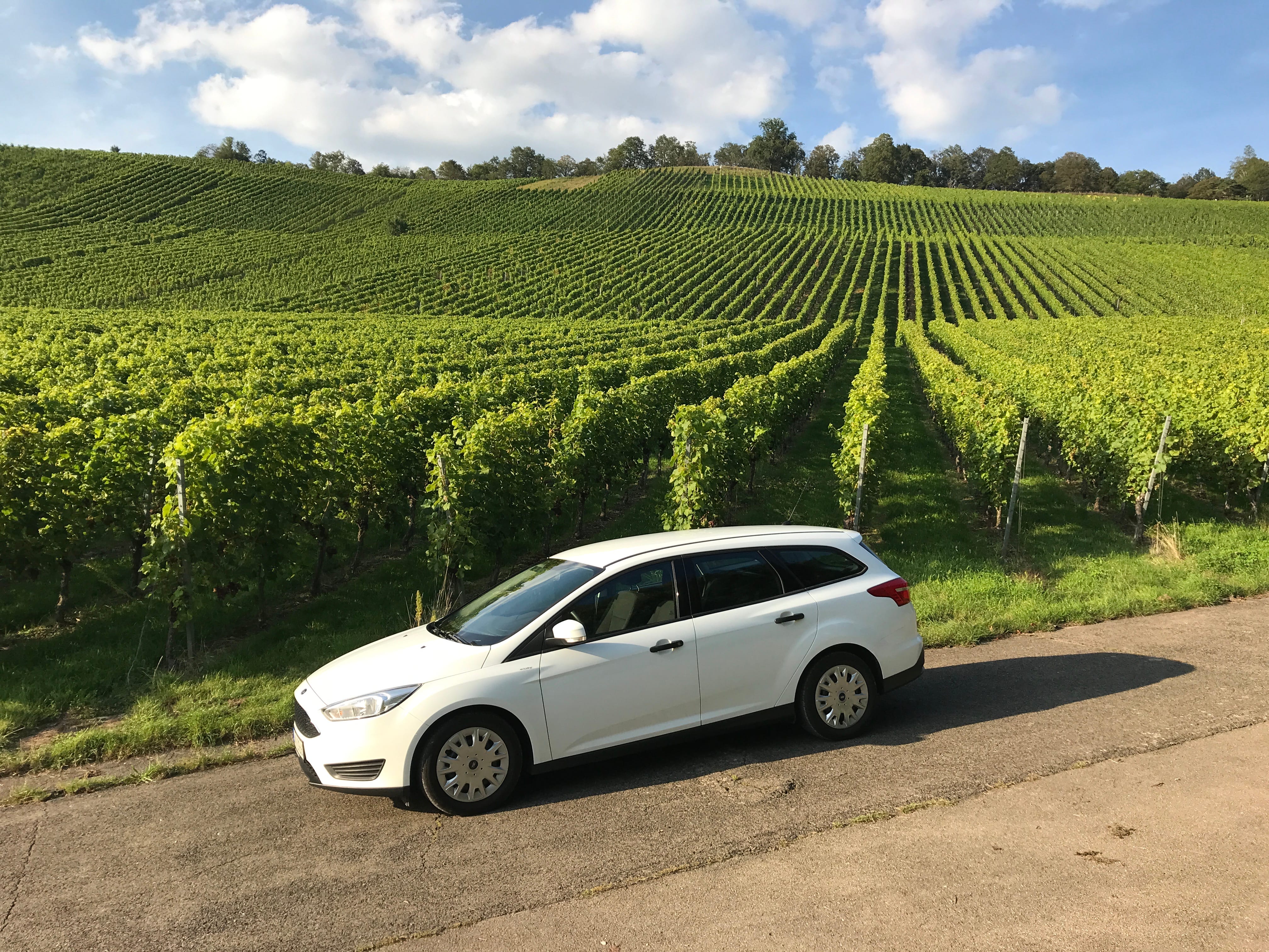 Ford Focus, 2016, Super 95