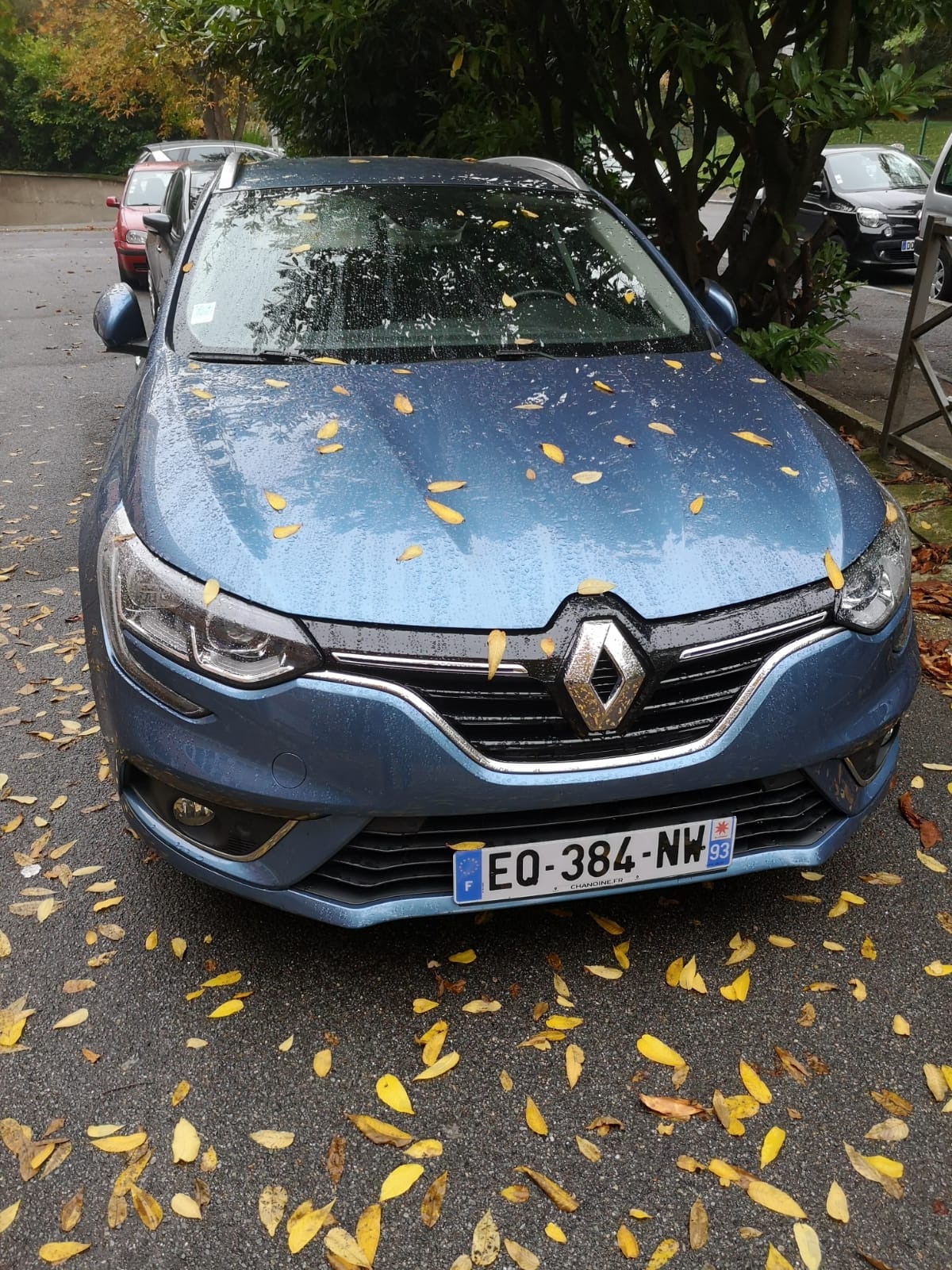 Renault Mégane Estate, 2017, Diesel
