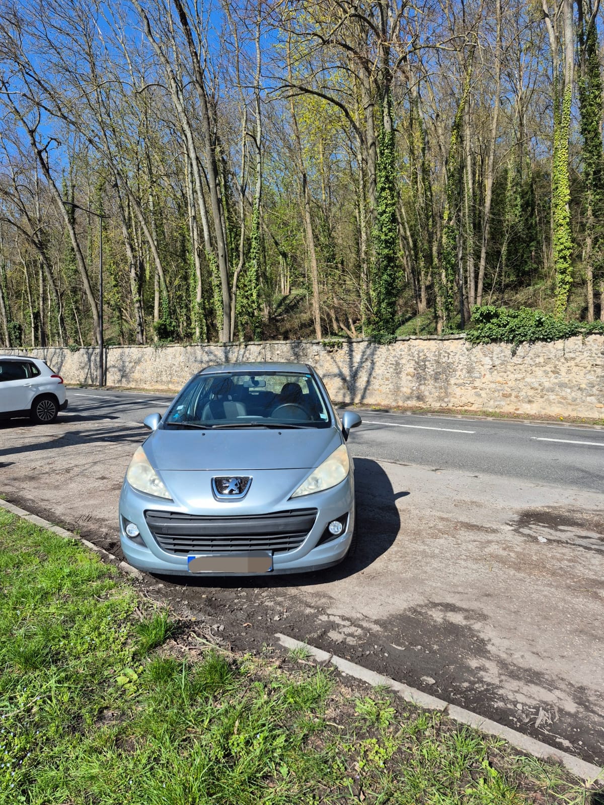Peugeot 207, 2011, Diesel