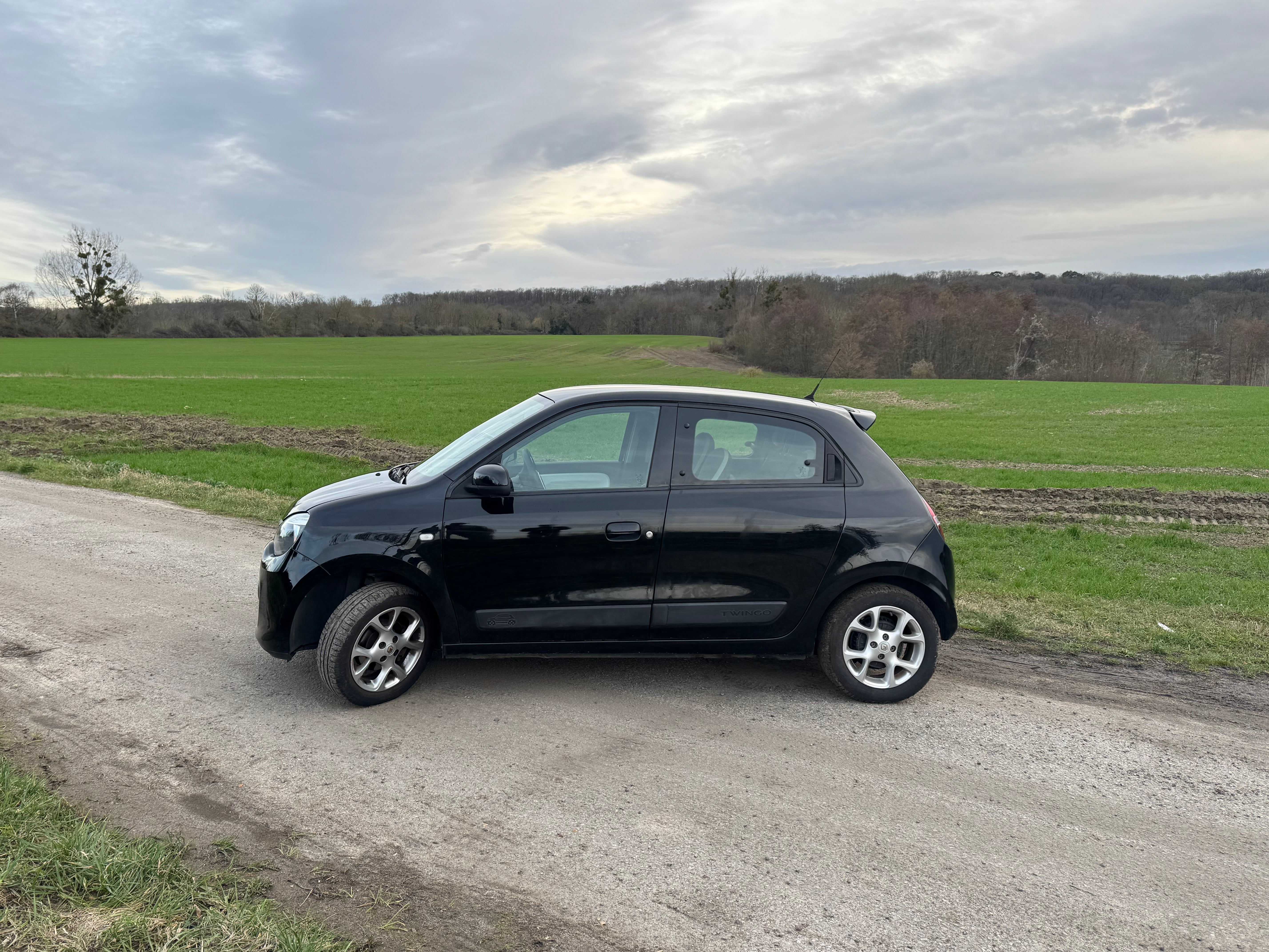 Renault Twingo III économique  Faible conso & facile à garer