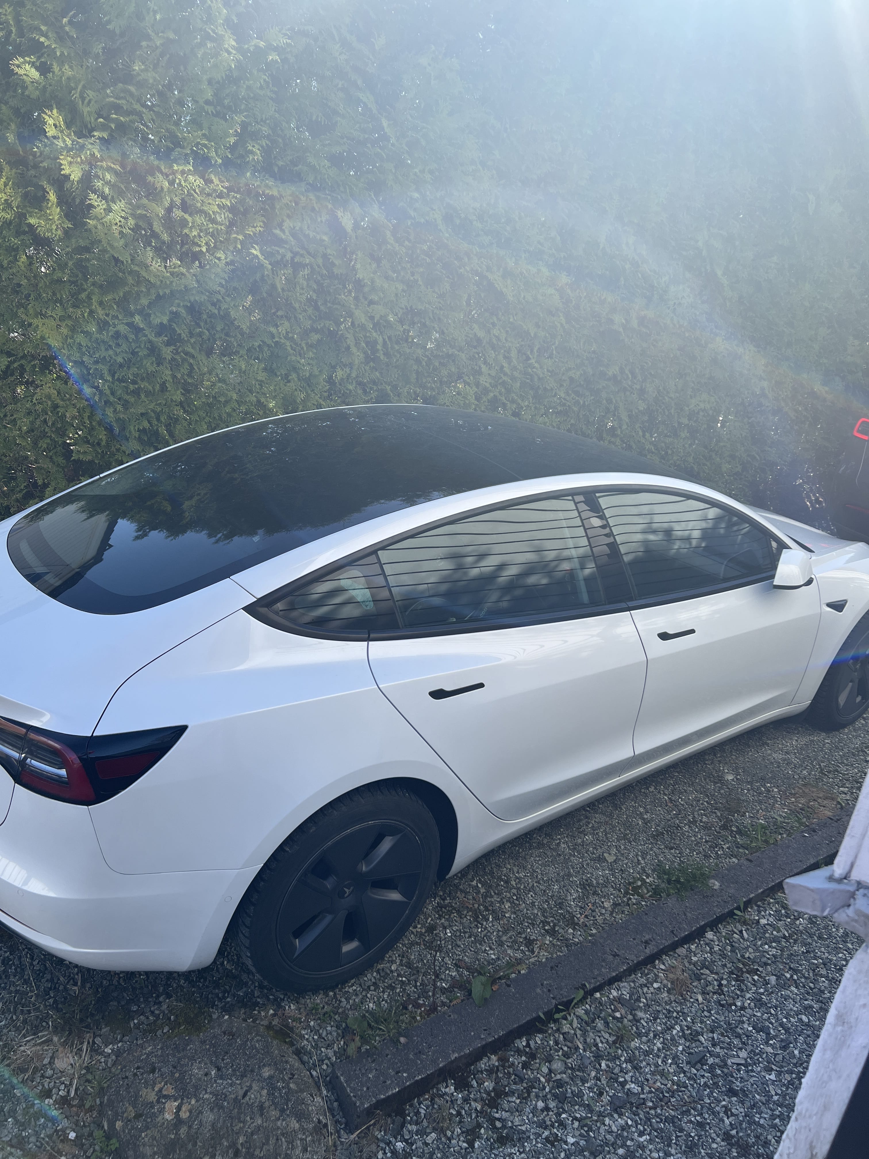 Tesla Model 3 Standard Range Plus med Aircondition