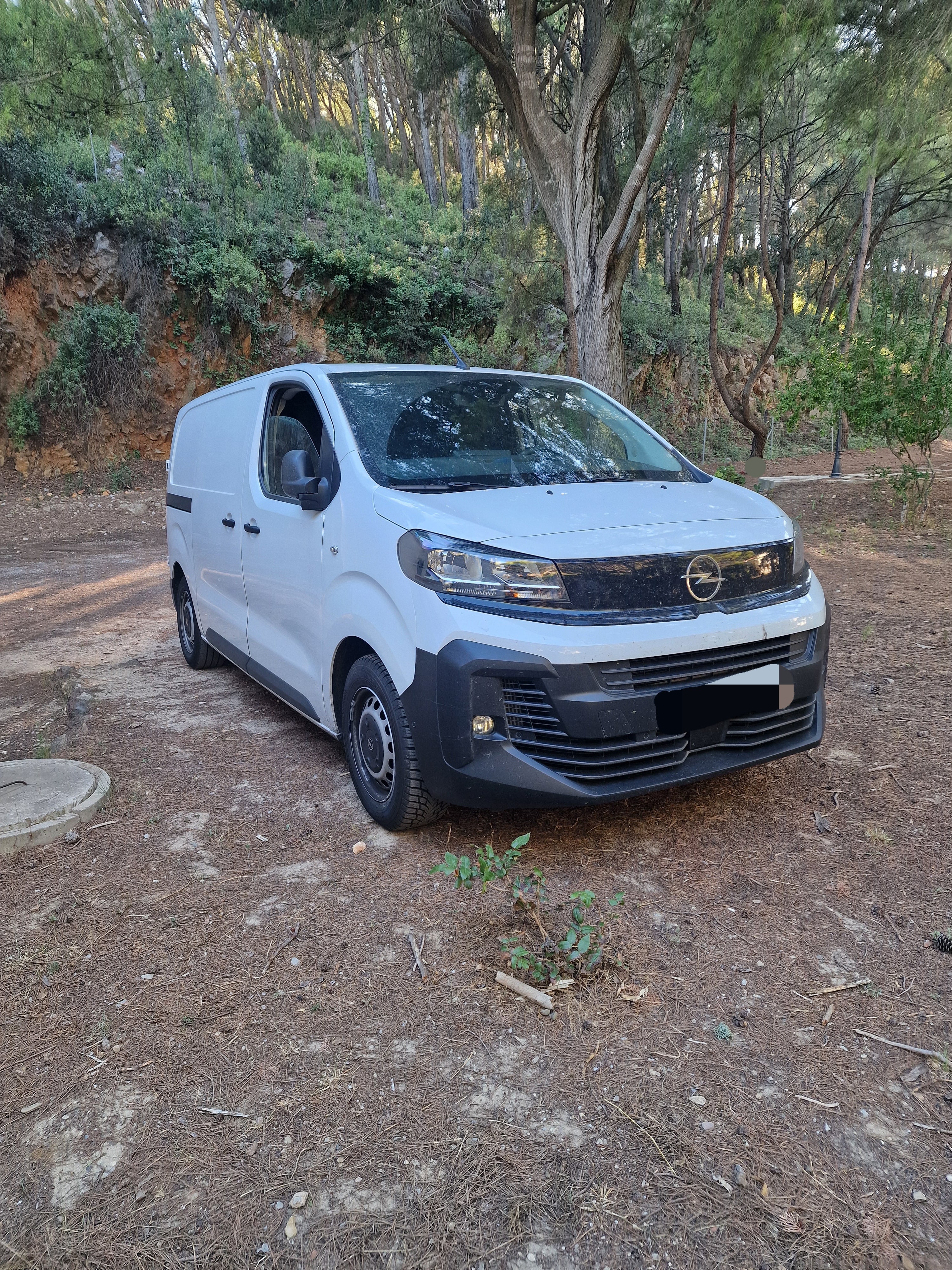 Opel Vivaro, 2025, Diesel