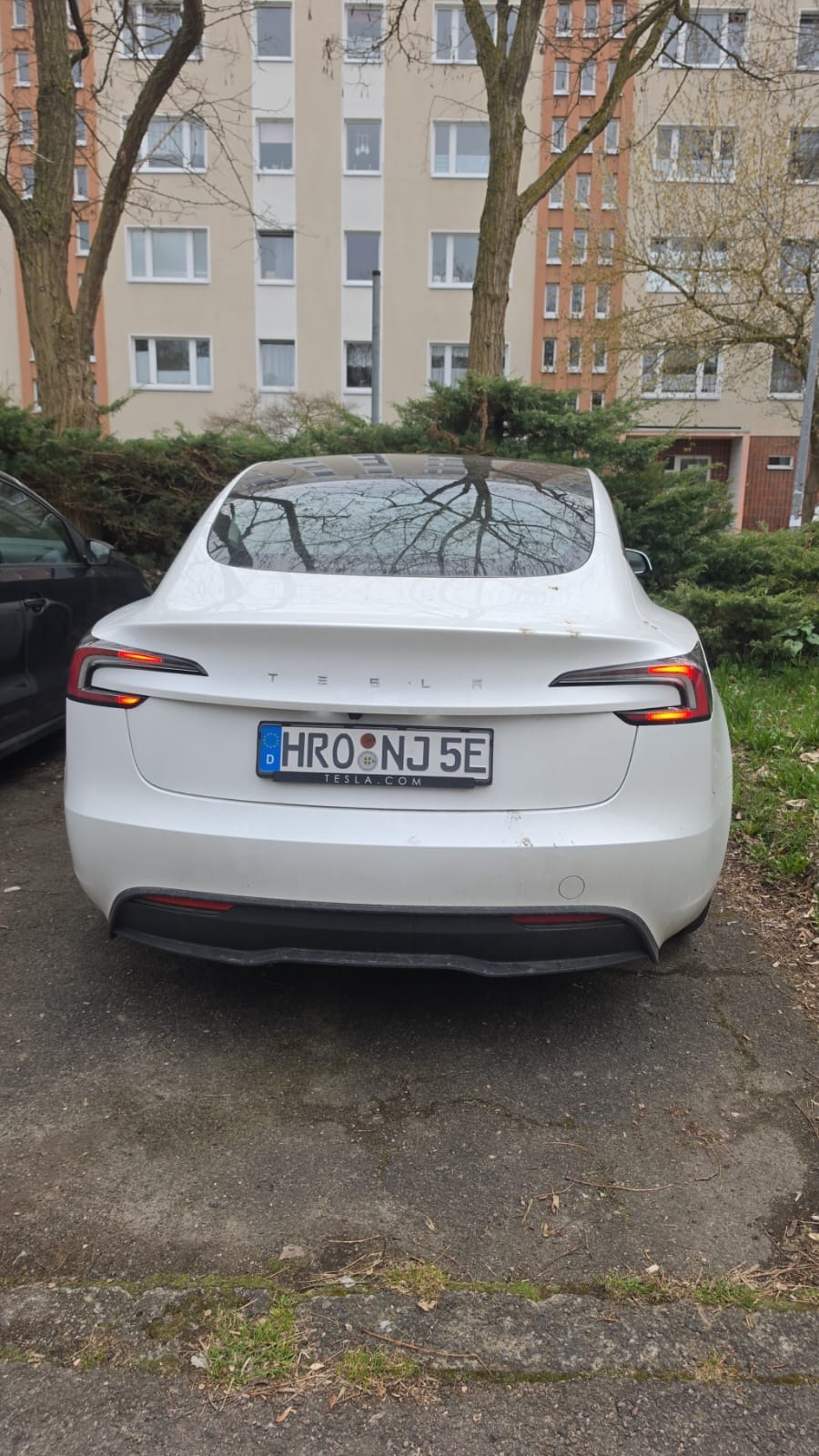 Tesla Model 3 mit Rückfahrkamera