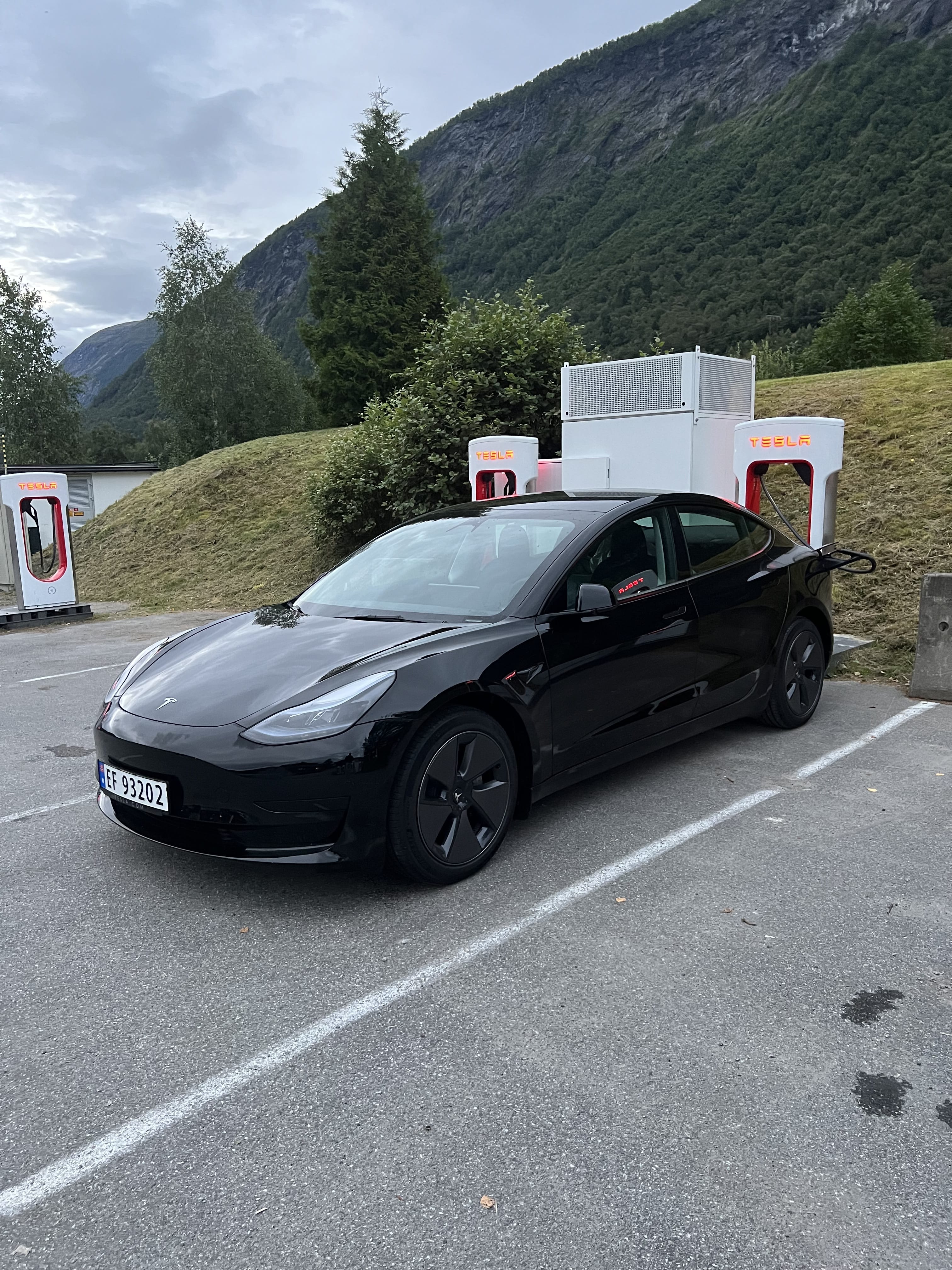Tesla Model 3 Standard Range, 2023, Elektrisk, automatisk