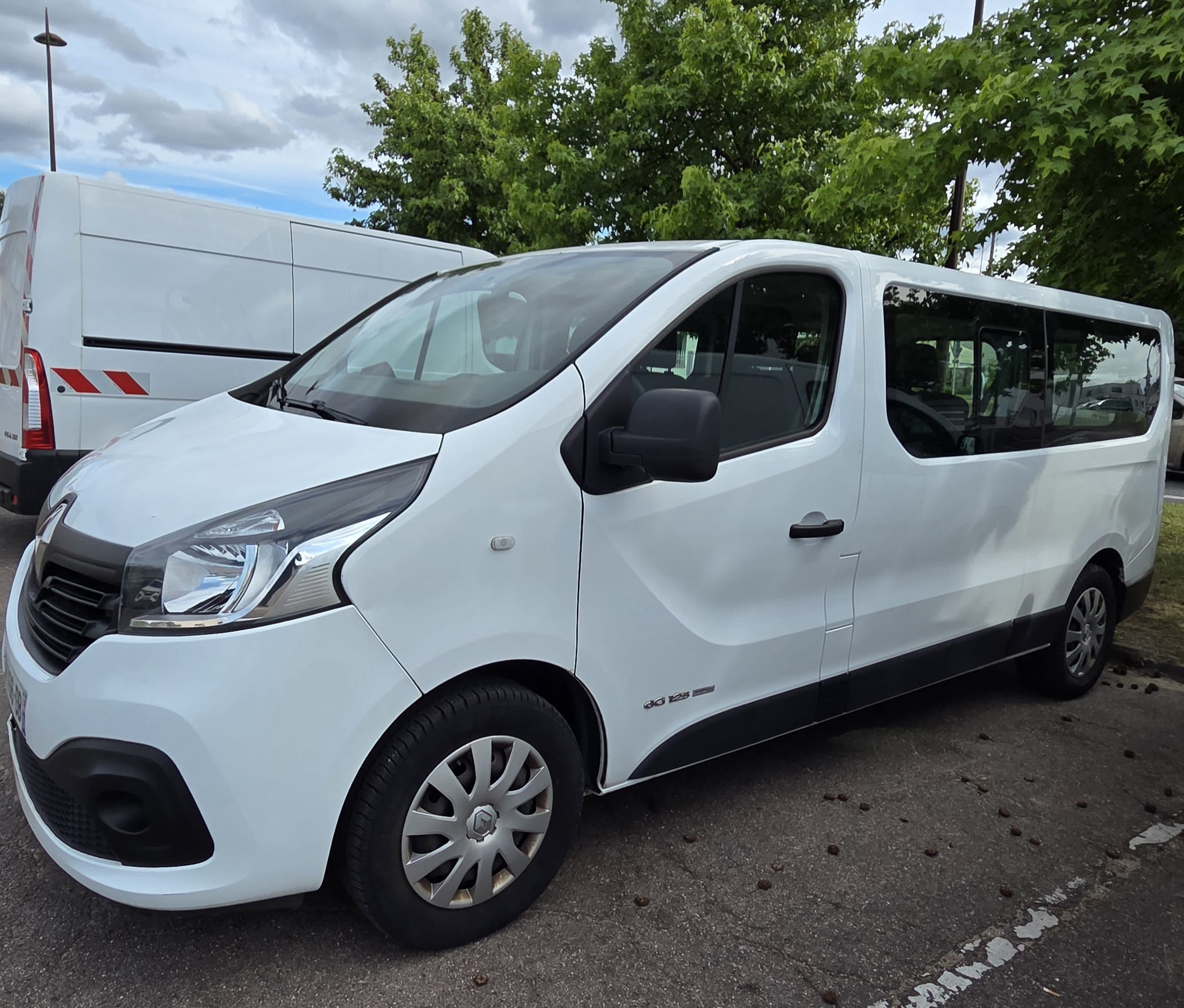 Renault Trafic Passenger, 2017, Diesel, 9 places et plus
