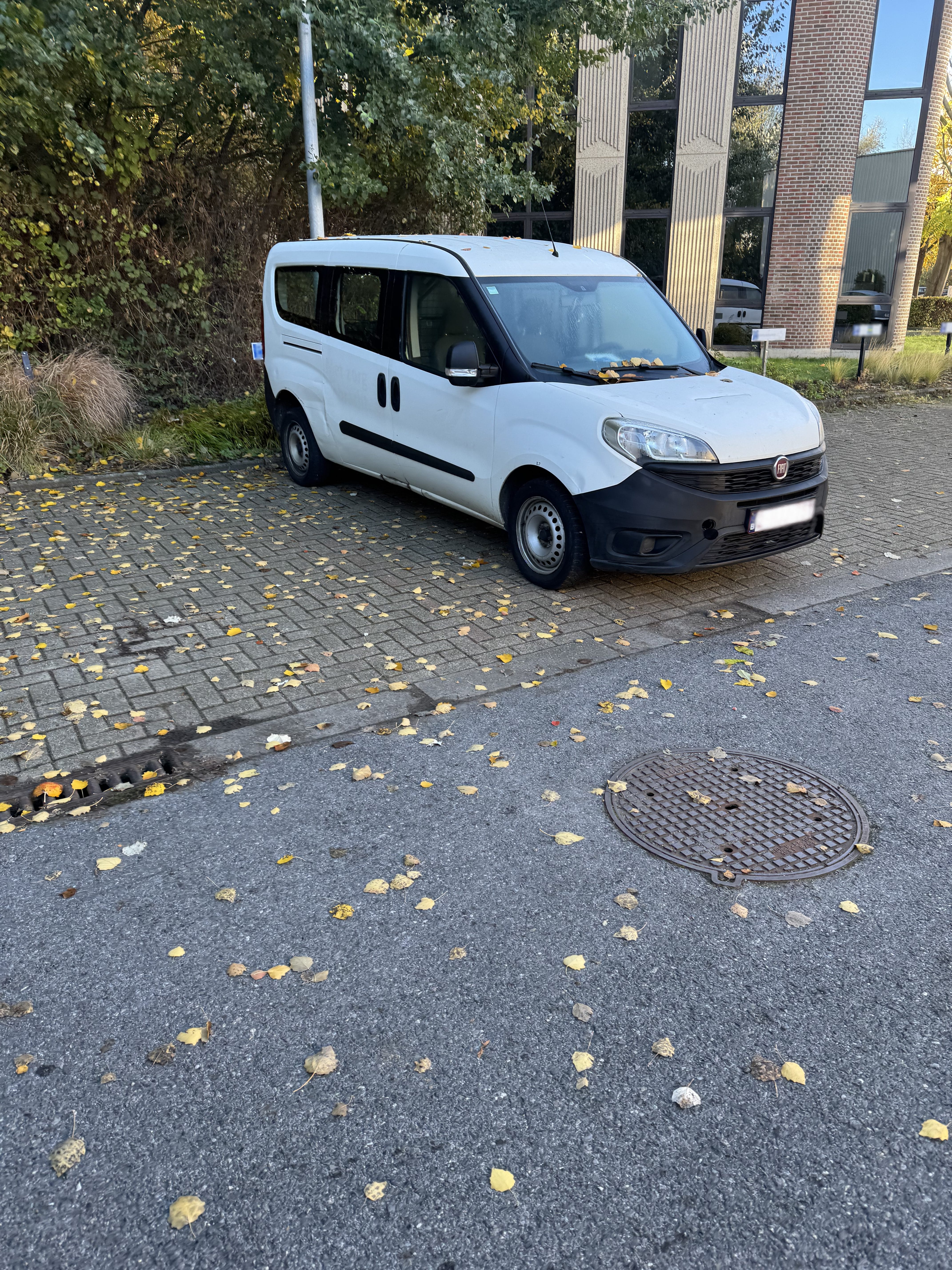Fiat Doblo Cargo Maxi 1.3 Multijet, 2018, Diesel (B7)