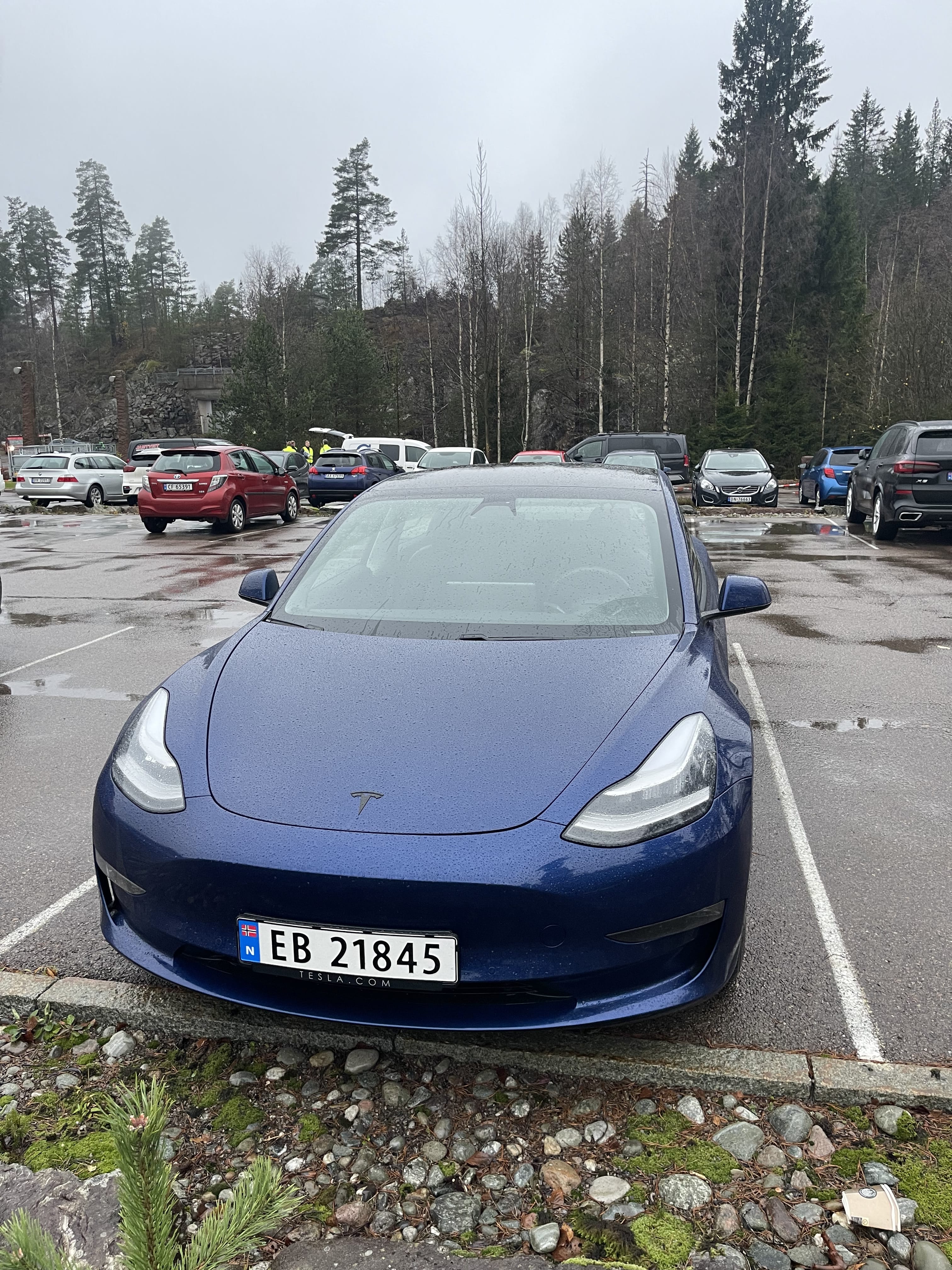 Tesla Model 3, 2019, Elektrisk, automatisk
