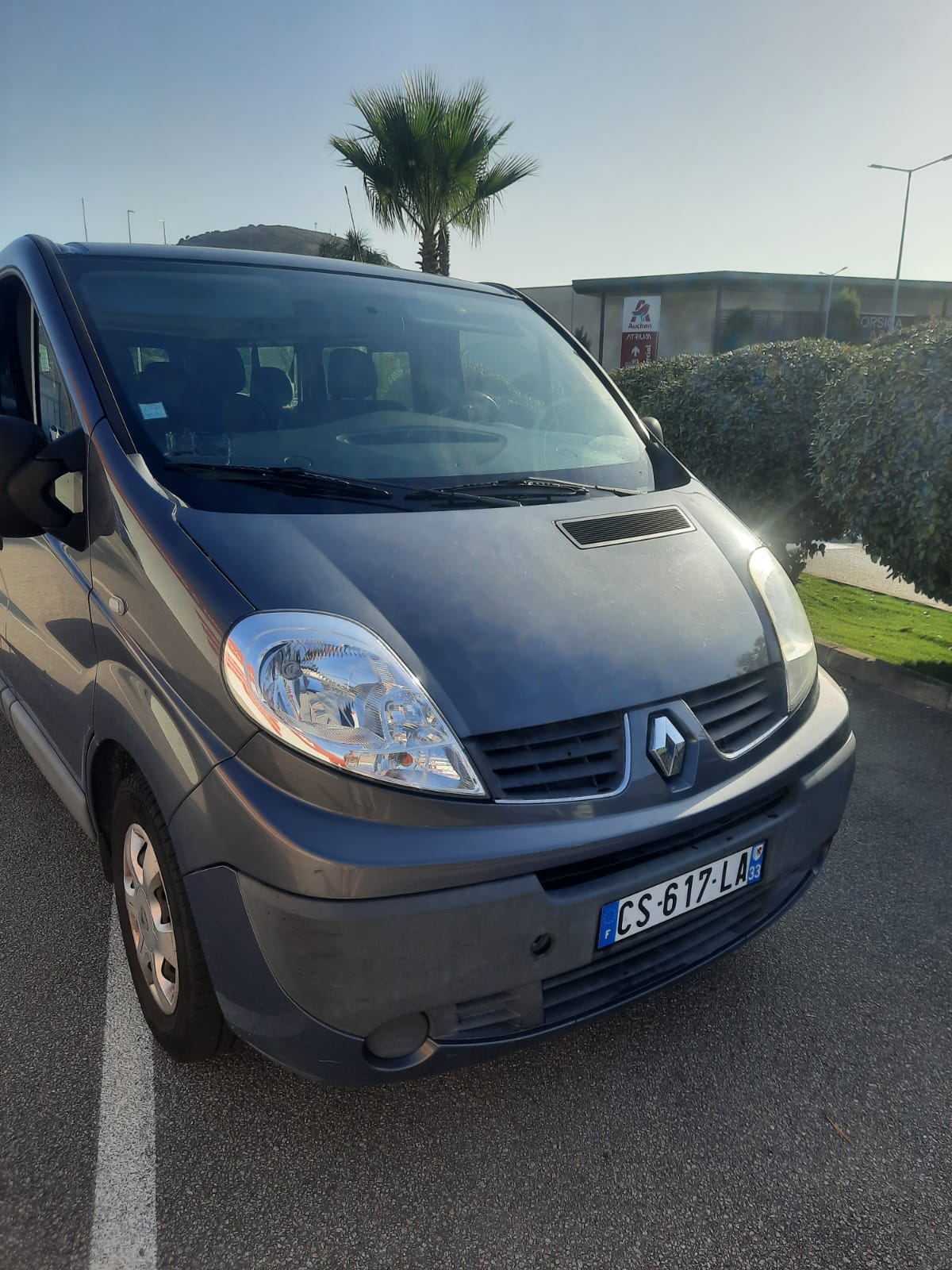 Renault Trafic Passenger