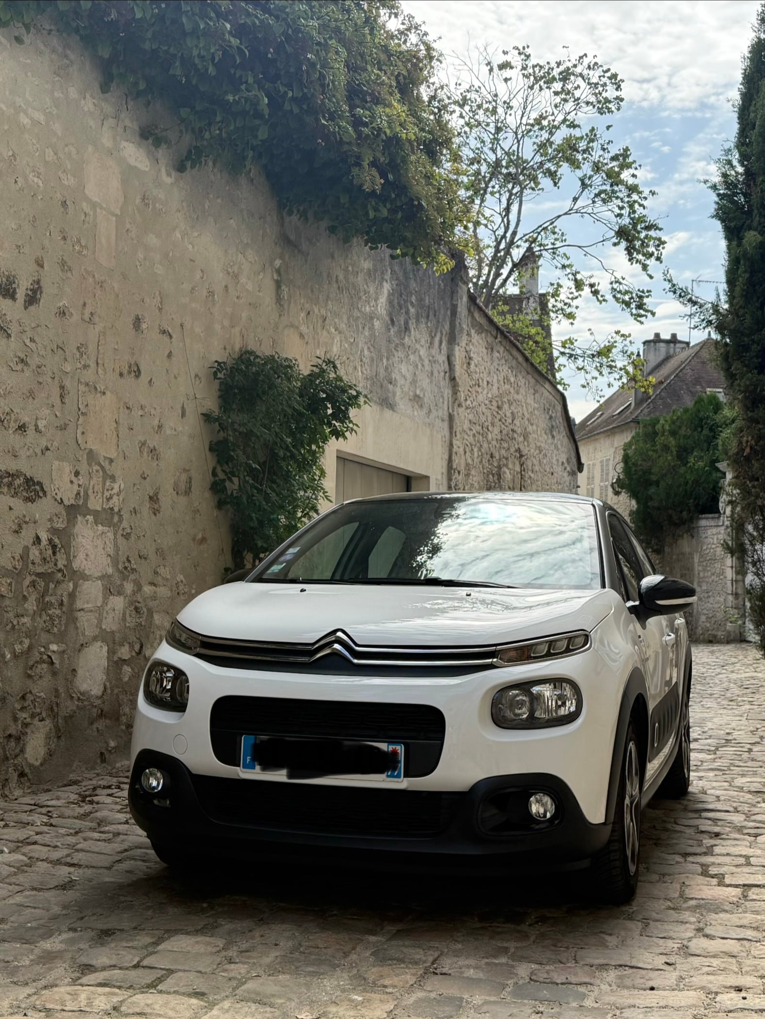 Citroen C3, 2019, Essence 95