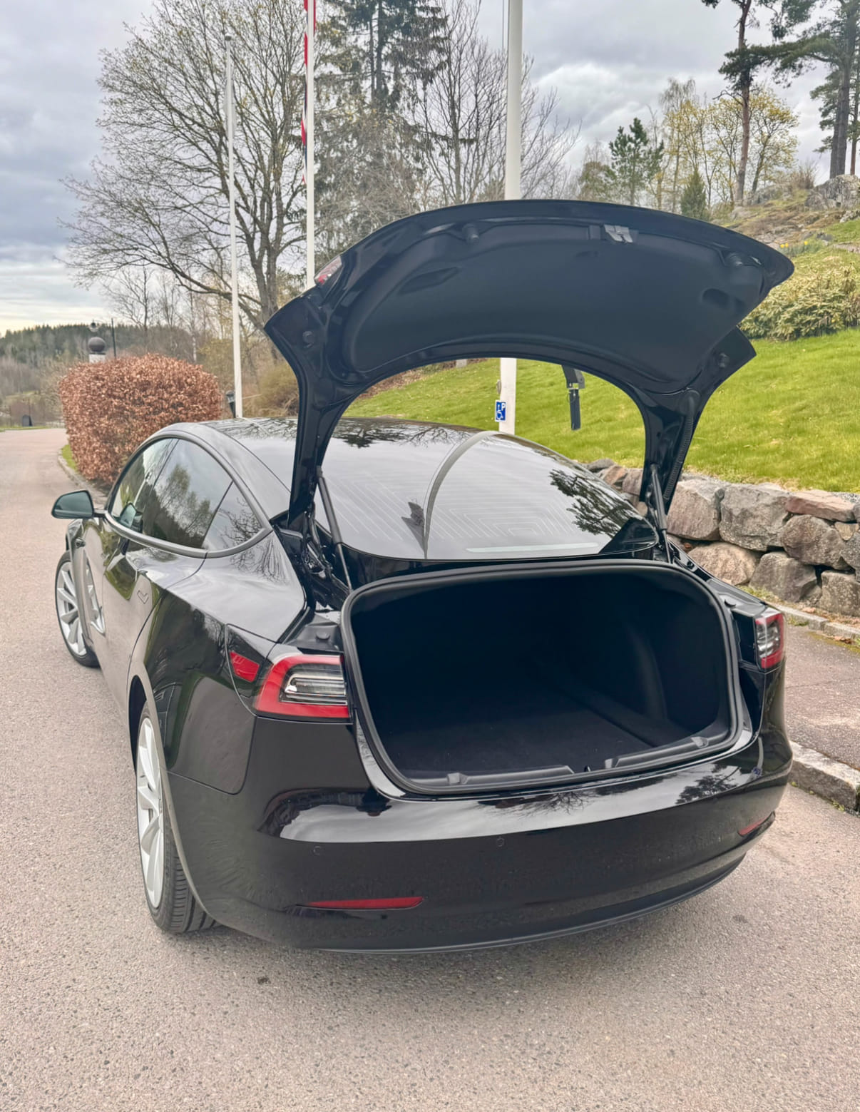 Tesla Model 3 Standard Range med Vinterdekk