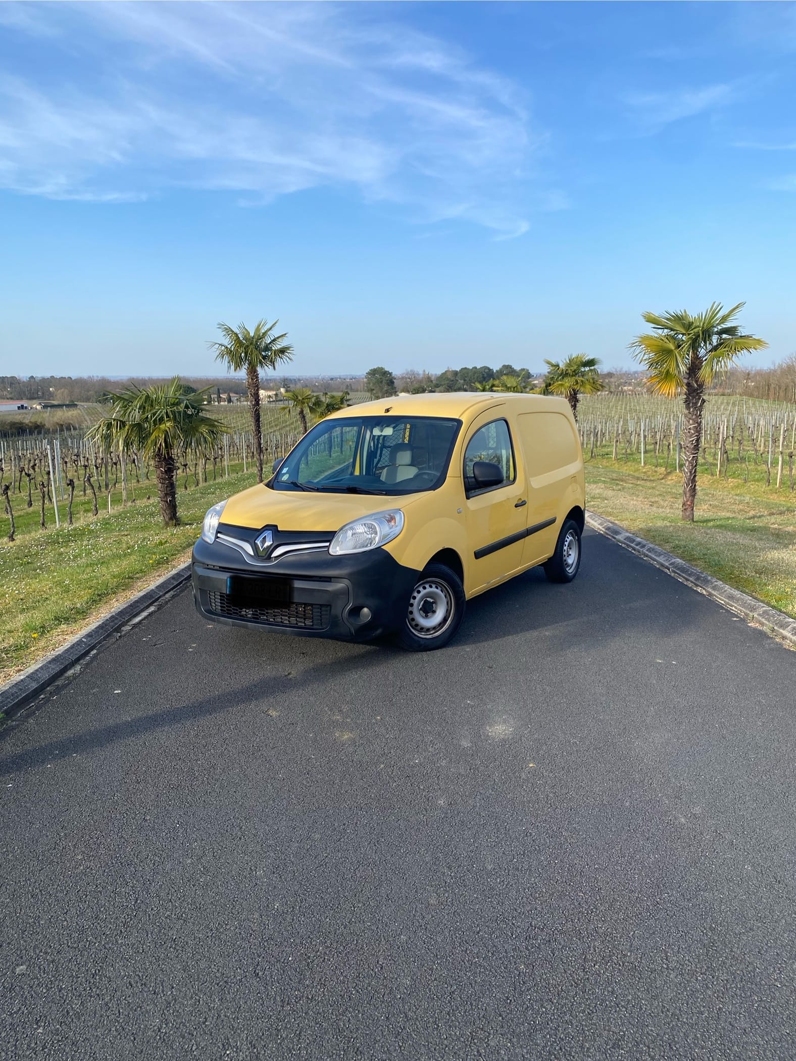 Renault Kangoo Express, 2015, Diesel