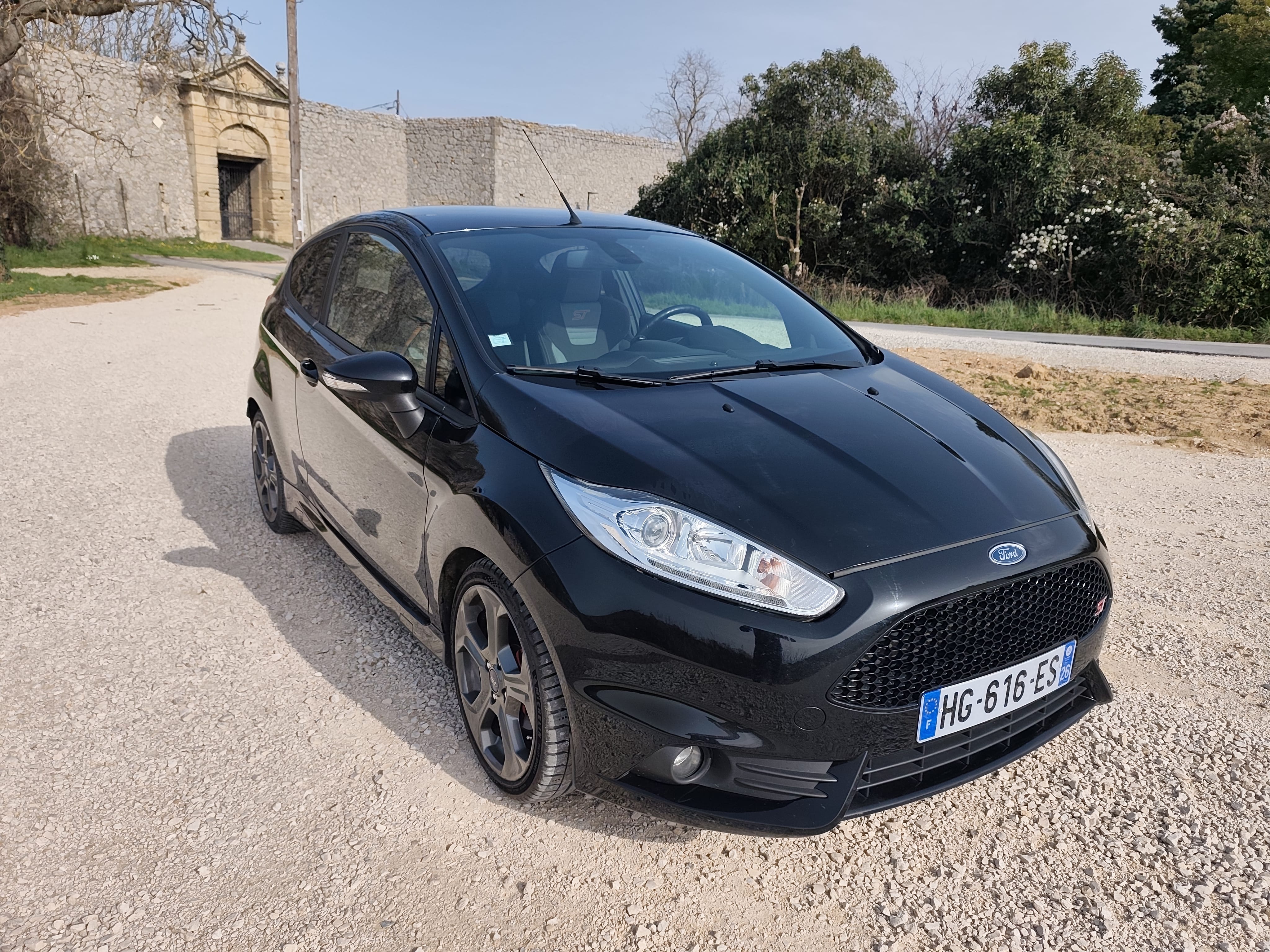 Ford Fiesta ST, 2015, Essence 95