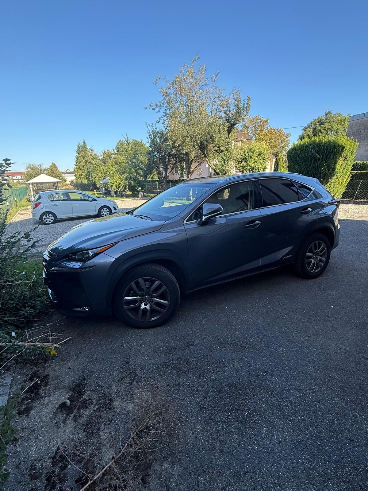 Lexus NX 300h, 2015, Essence 95 / Électrique (hybride), automatique