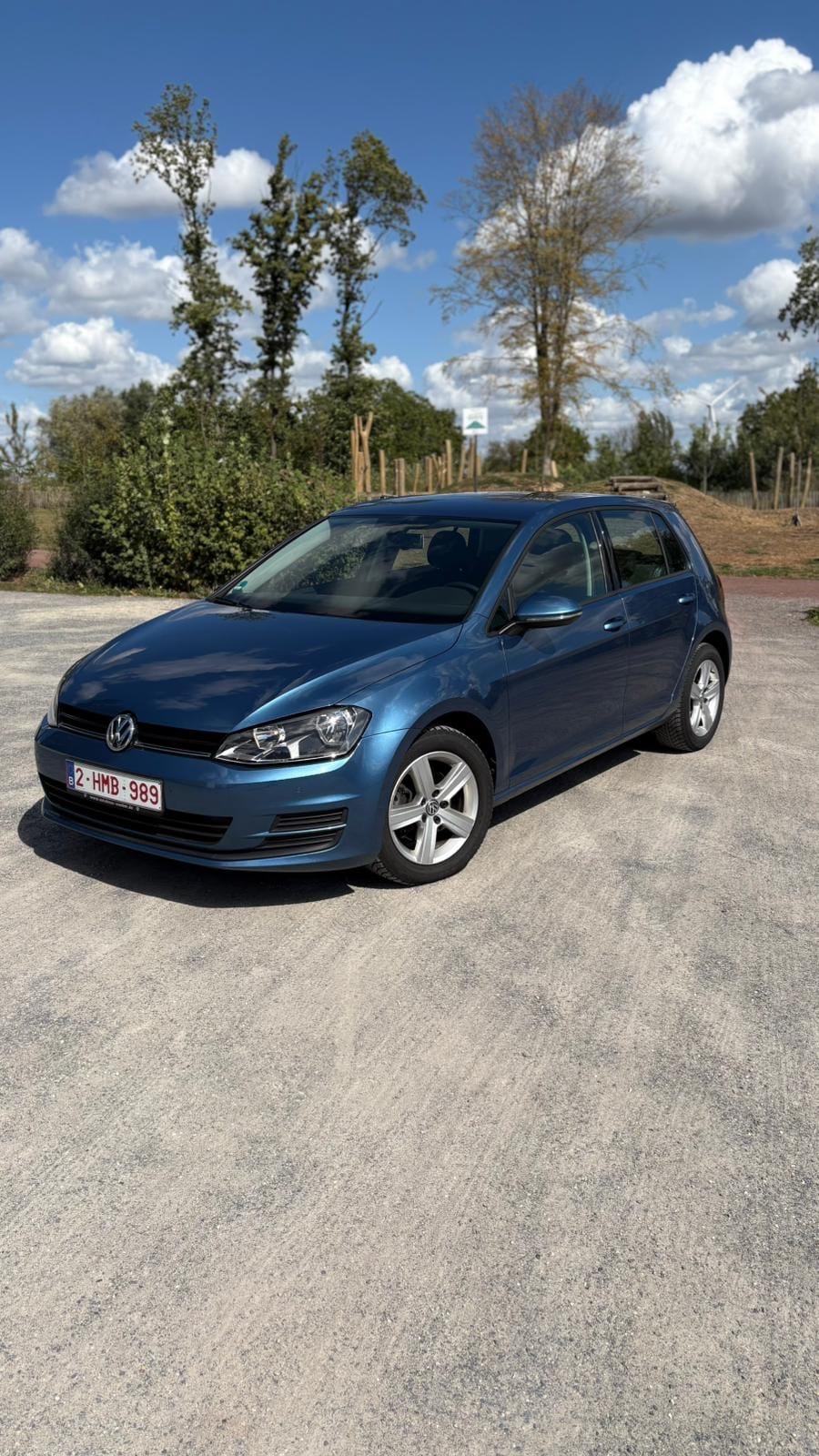 Volkswagen Golf, 2013, Euro 95 (E10)