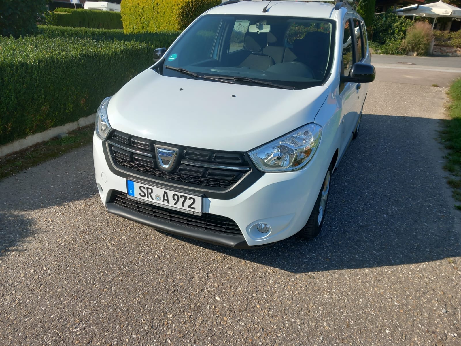 Dacia Lodgy, 2019, Super 95, 7 Sitze
