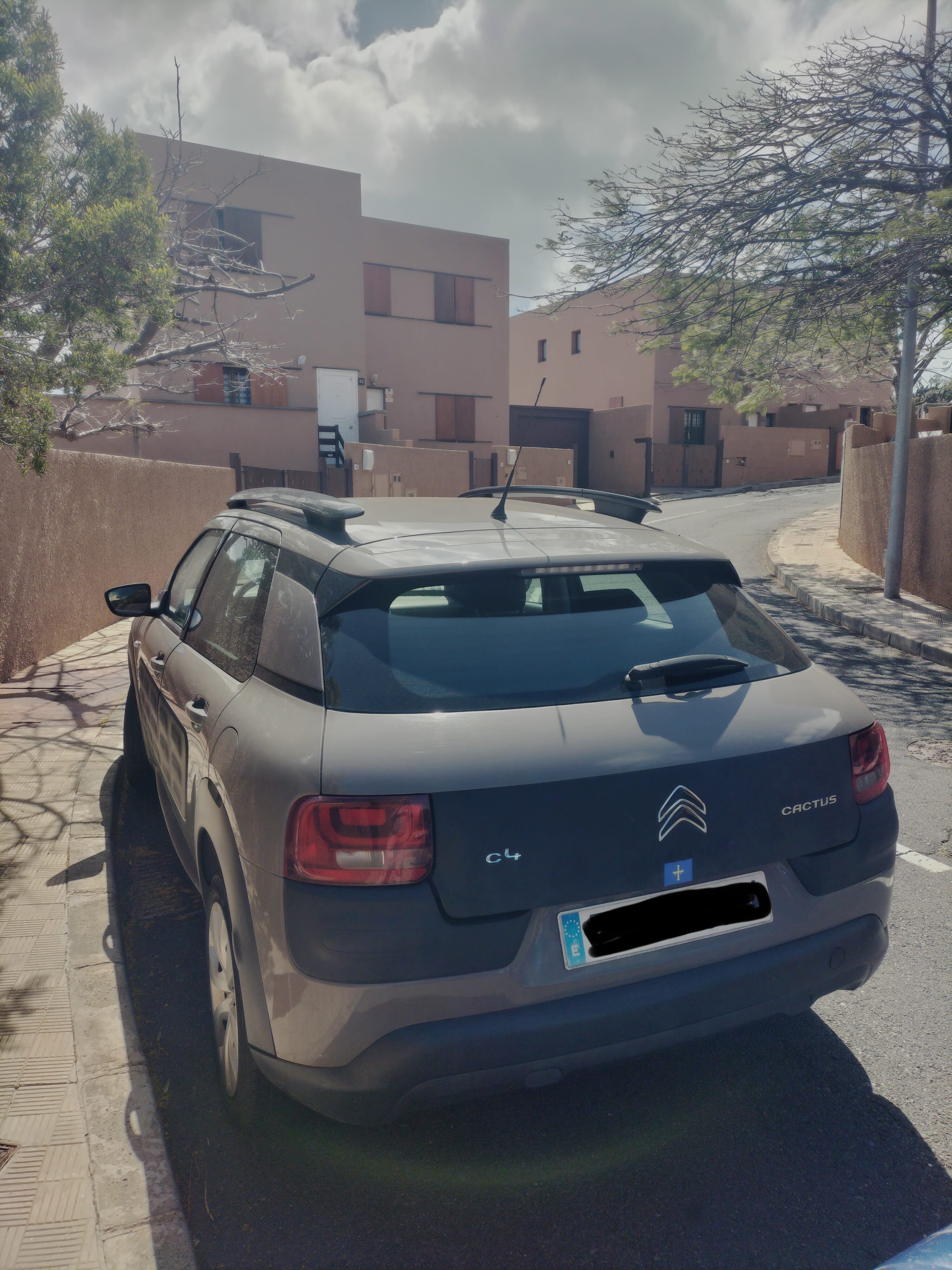 Citroen C4 Cactus 1.2 86 cv con Audio Bluetooth