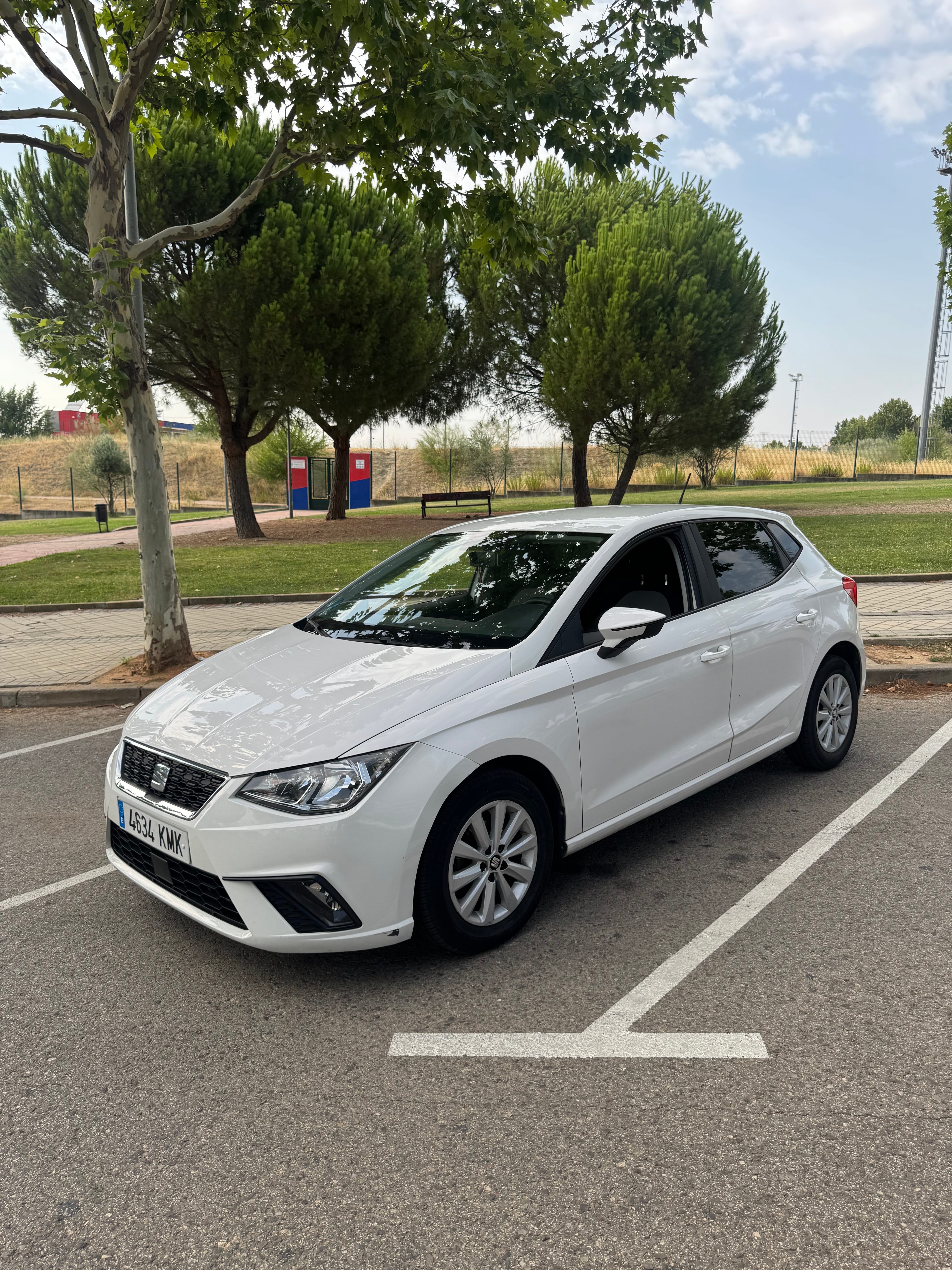 Seat Ibiza, 2018, Gasolina 95
