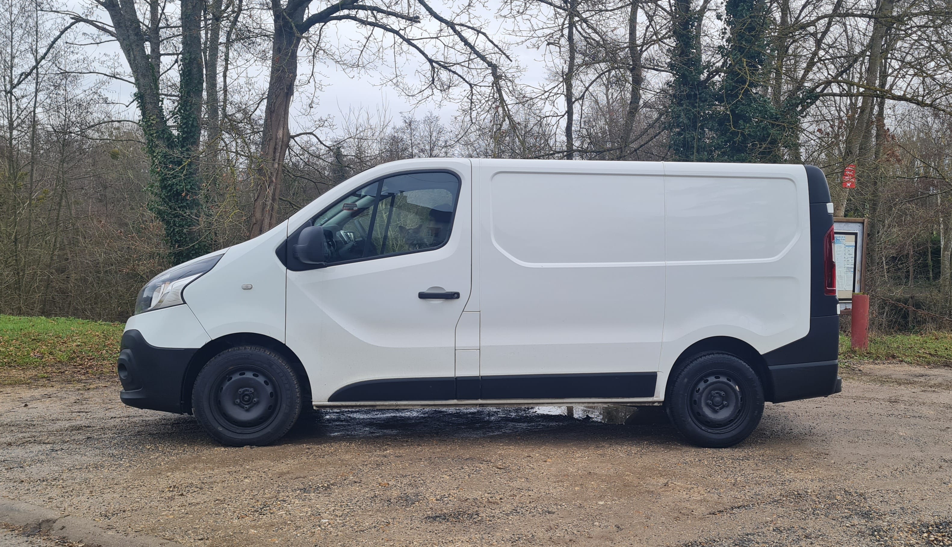 Renault Trafic avec Entrée audio / iPod