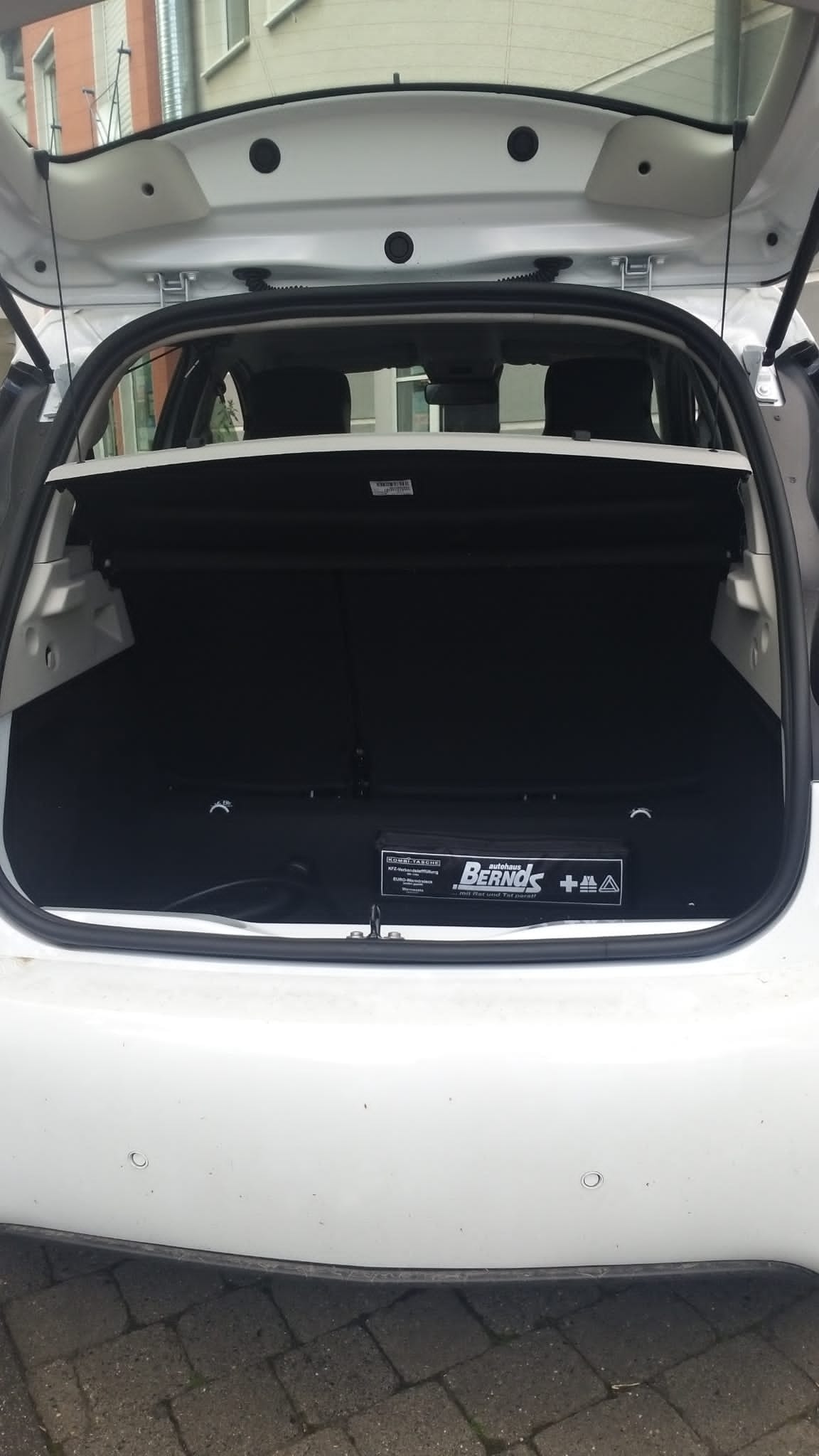 Renault ZOE mit Audio-/iPod-Zugang