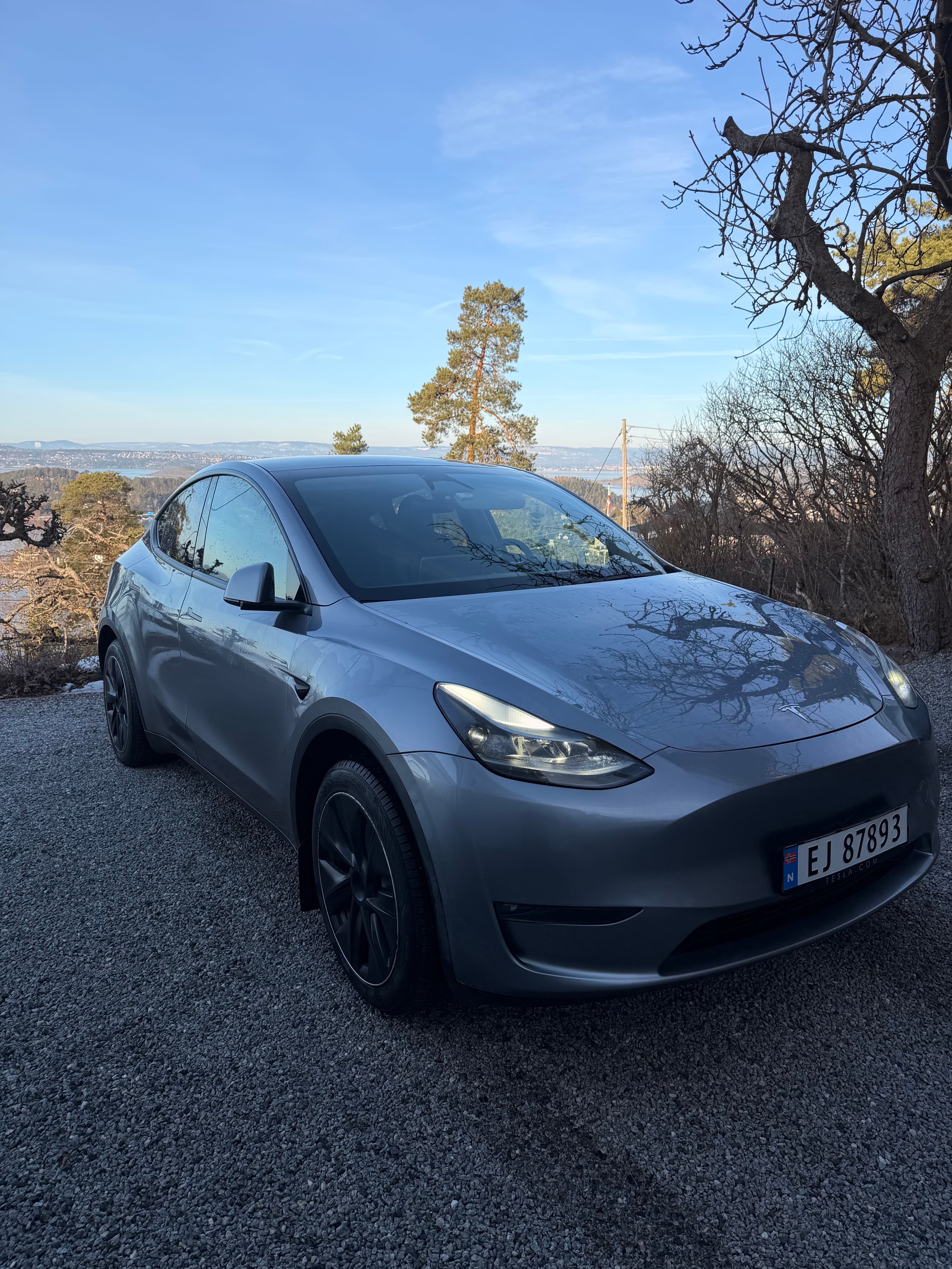 Tesla Model Y, 2024, Elektro, Automatik