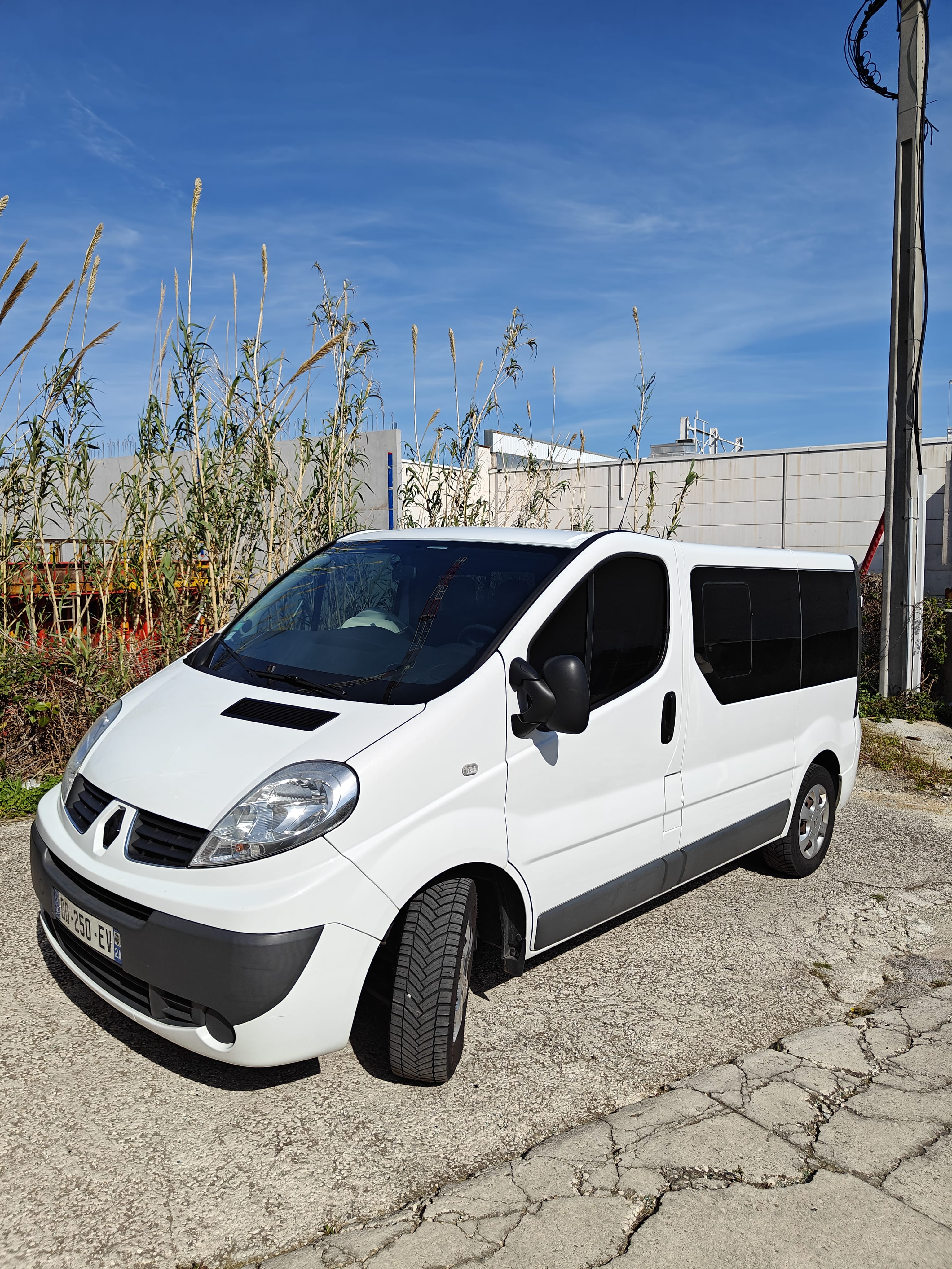 Renault Trafic Passenger, 2014, Diesel, 9 places et plus
