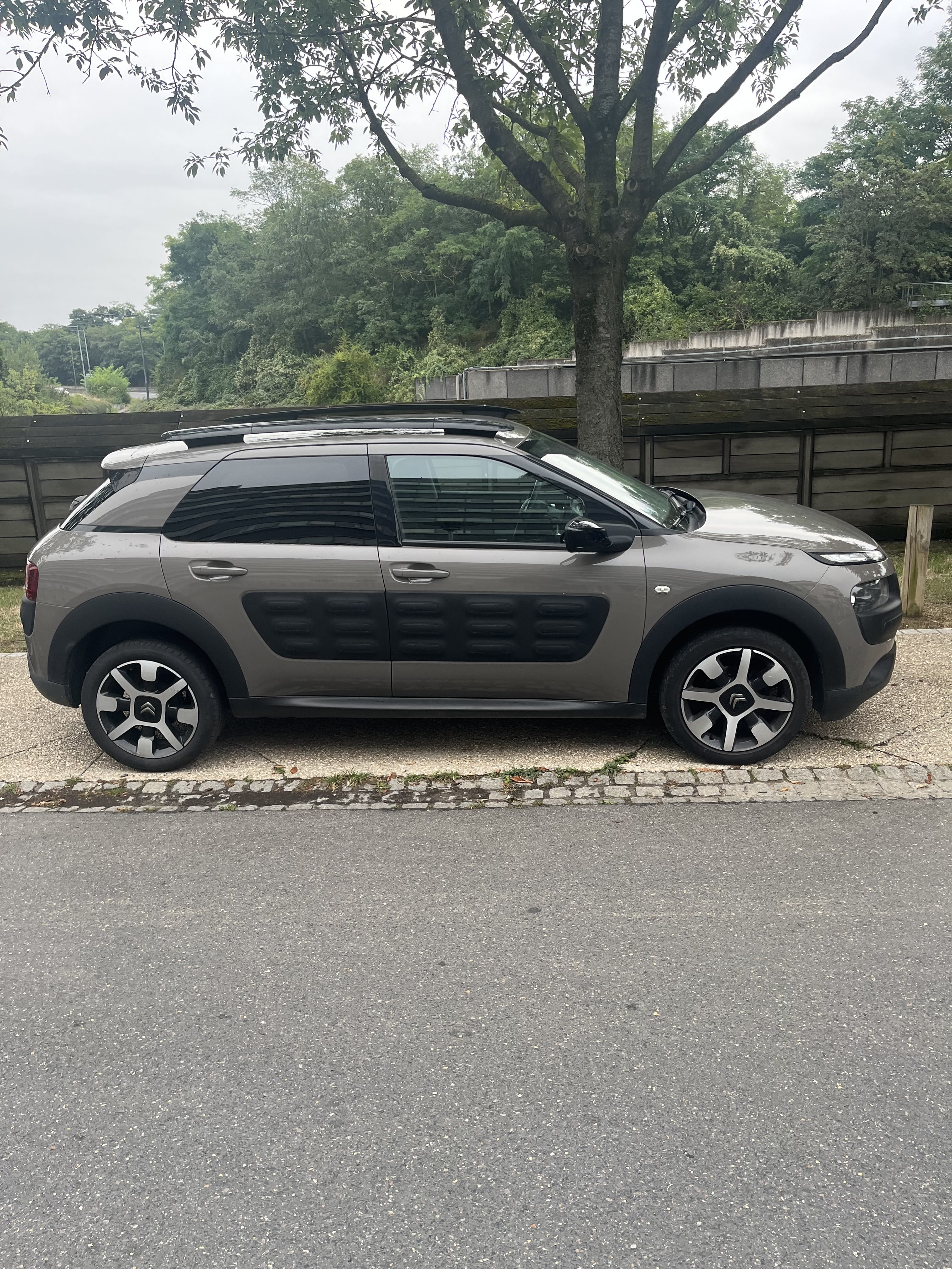 Citroen C4 Cactus avec Climatisation