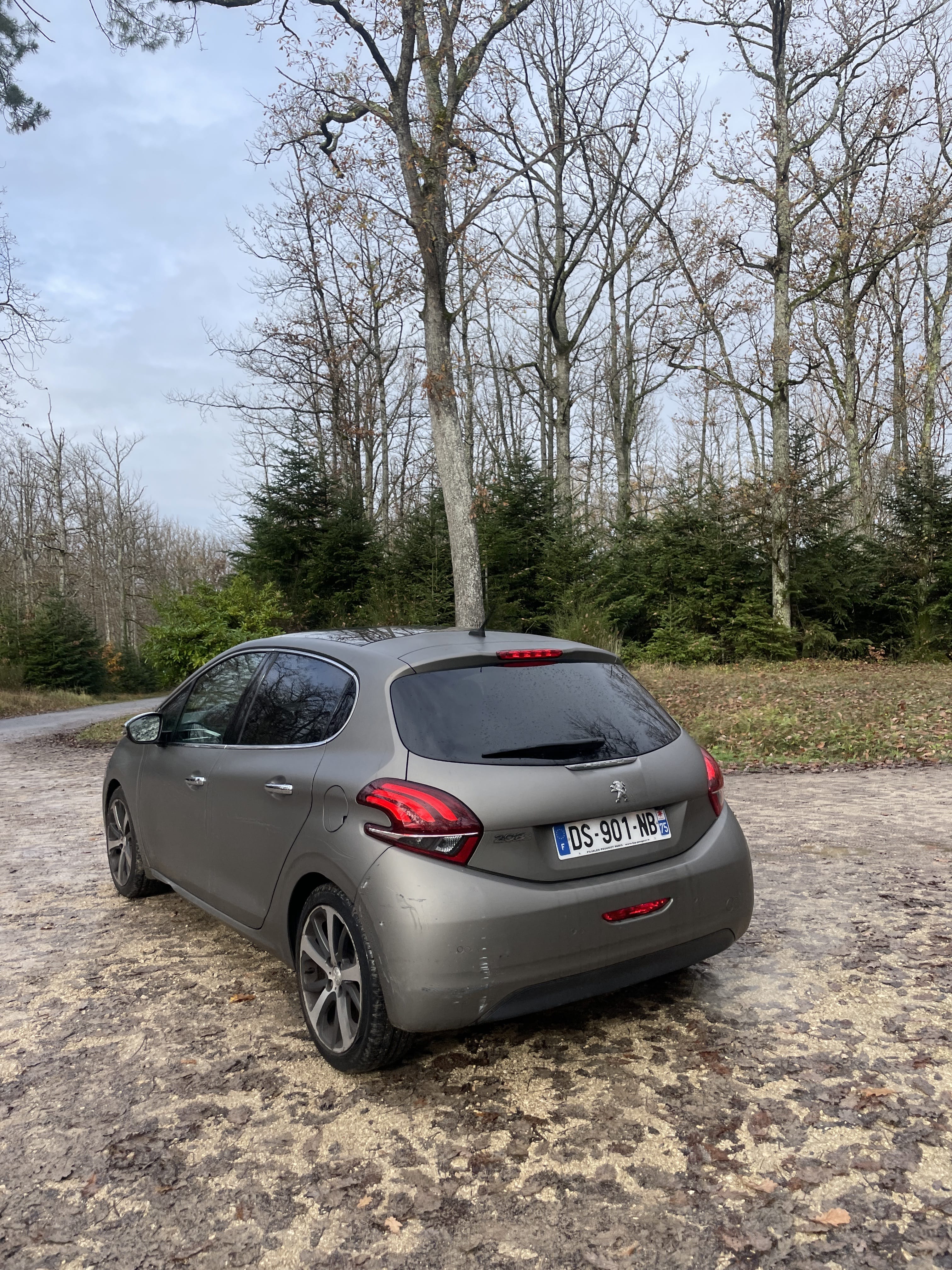 Peugeot 208 avec GPS