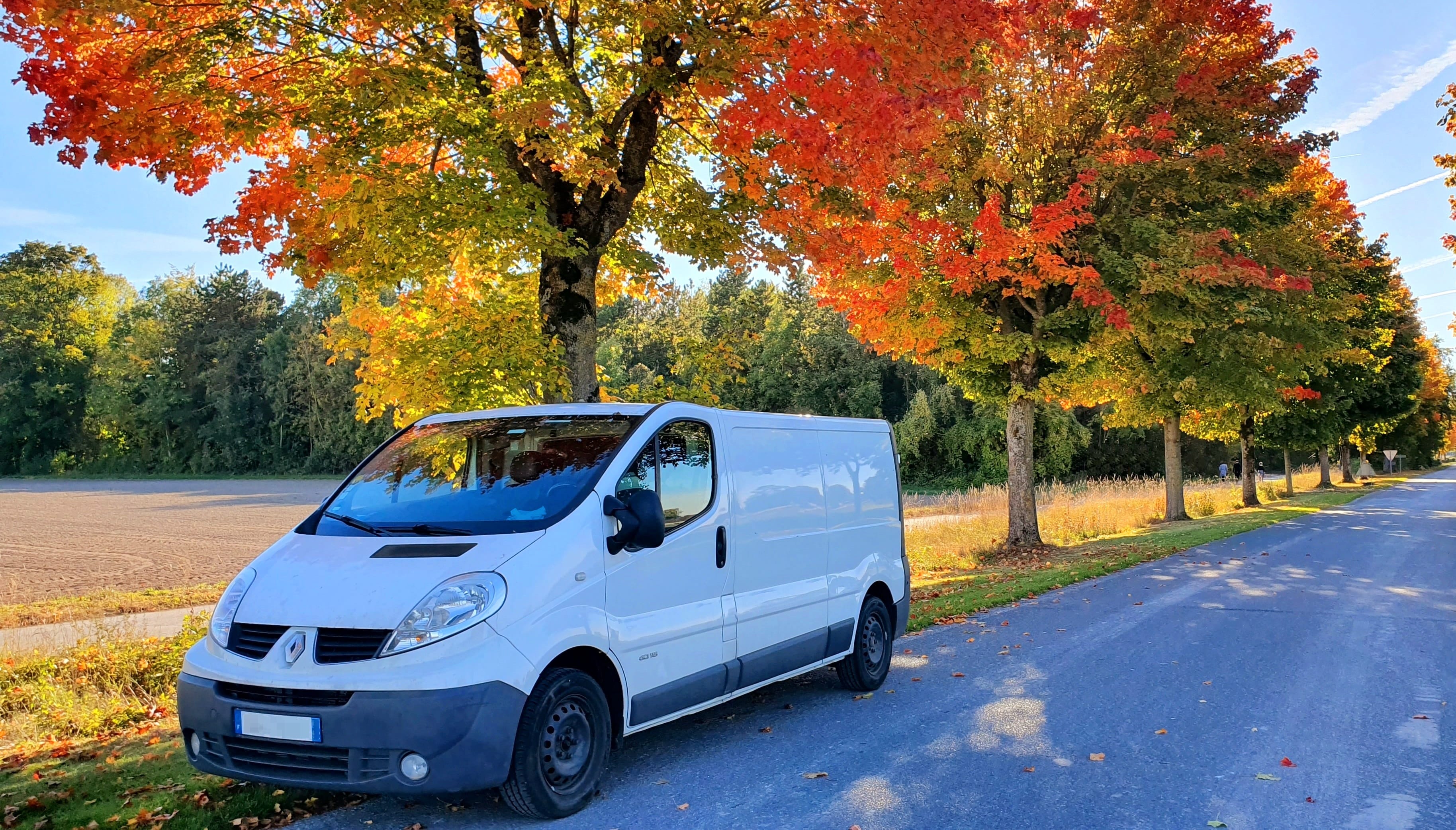 Renault Trafic Rallongé 7M3 + Caméra de recul, 2014, Diesel