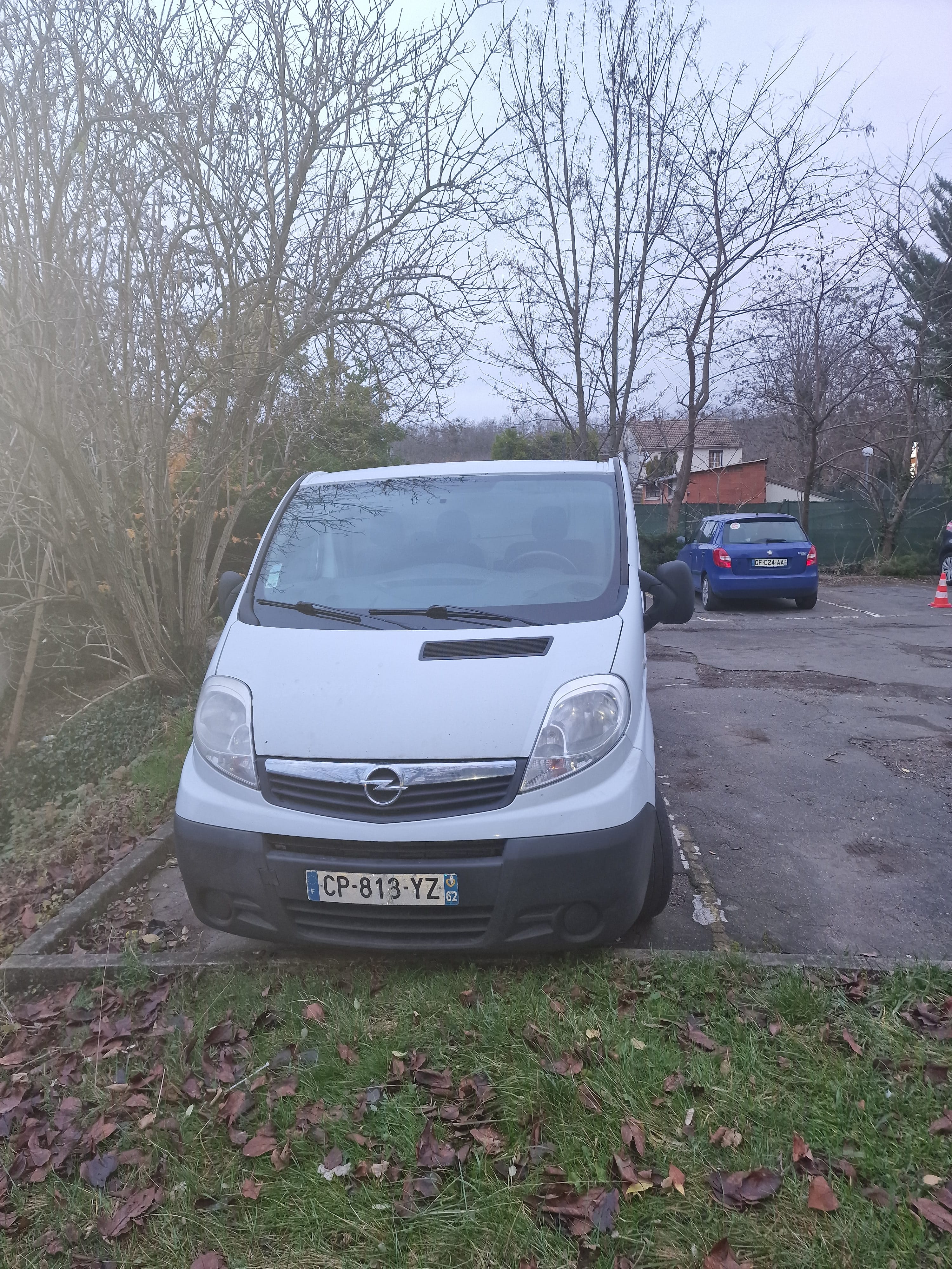 Opel Vivaro, 2013, Diesel