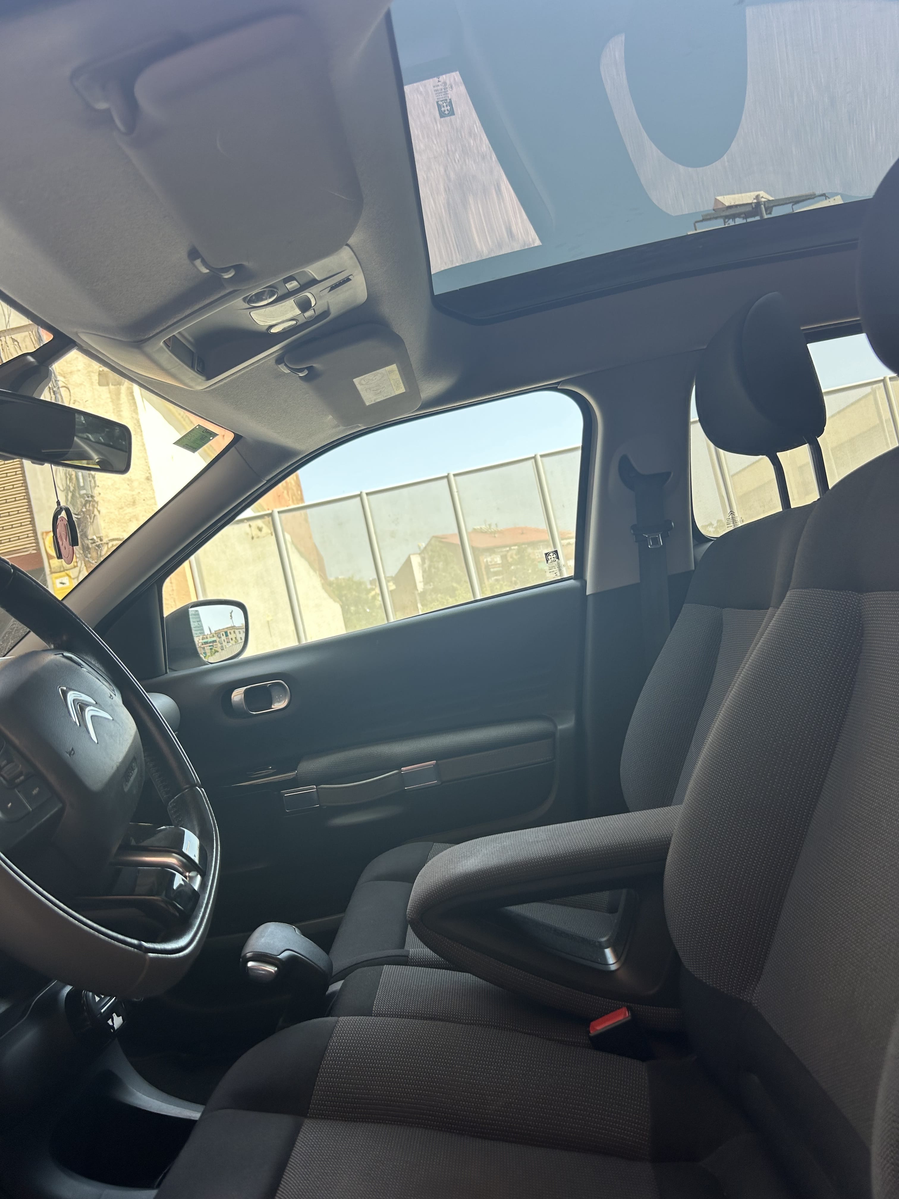 Citroen C4 Cactus con Portaequipajes